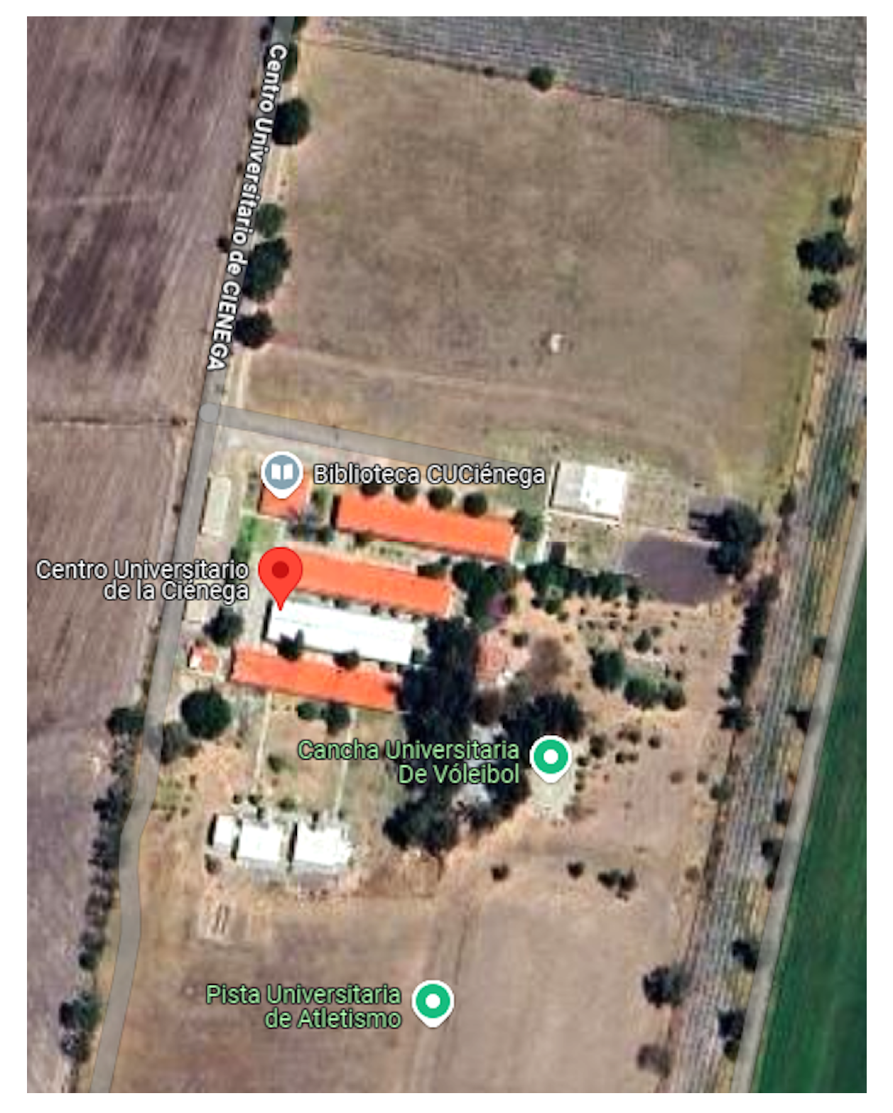 Agriculture 15 01562 g005