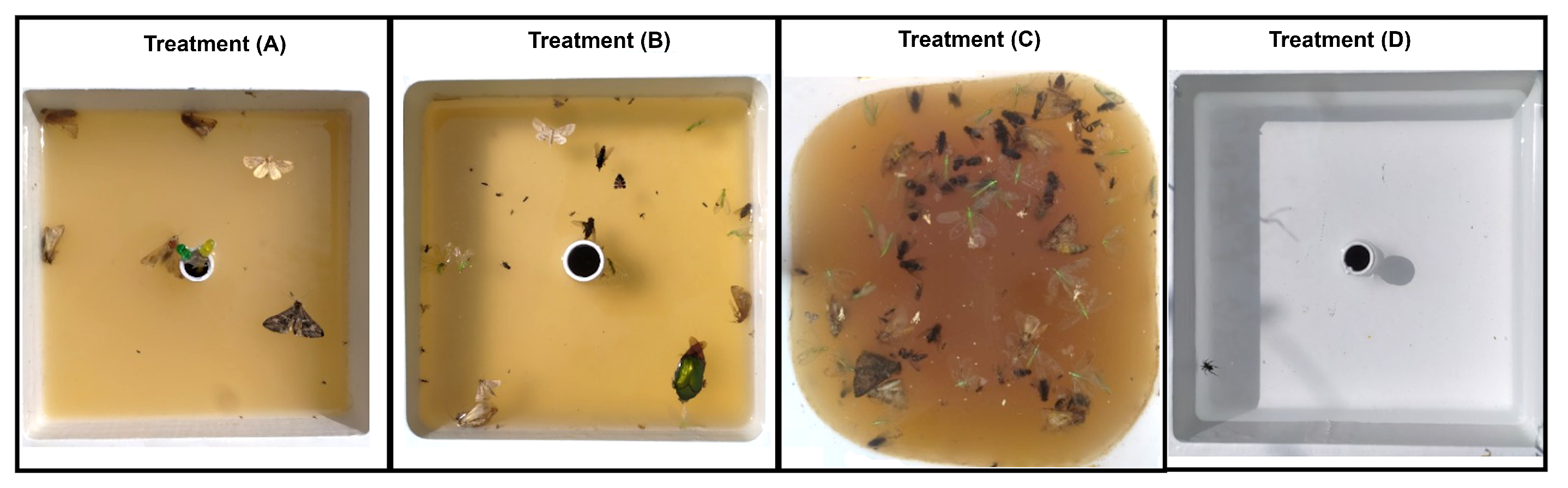 Agriculture 15 01562 g008