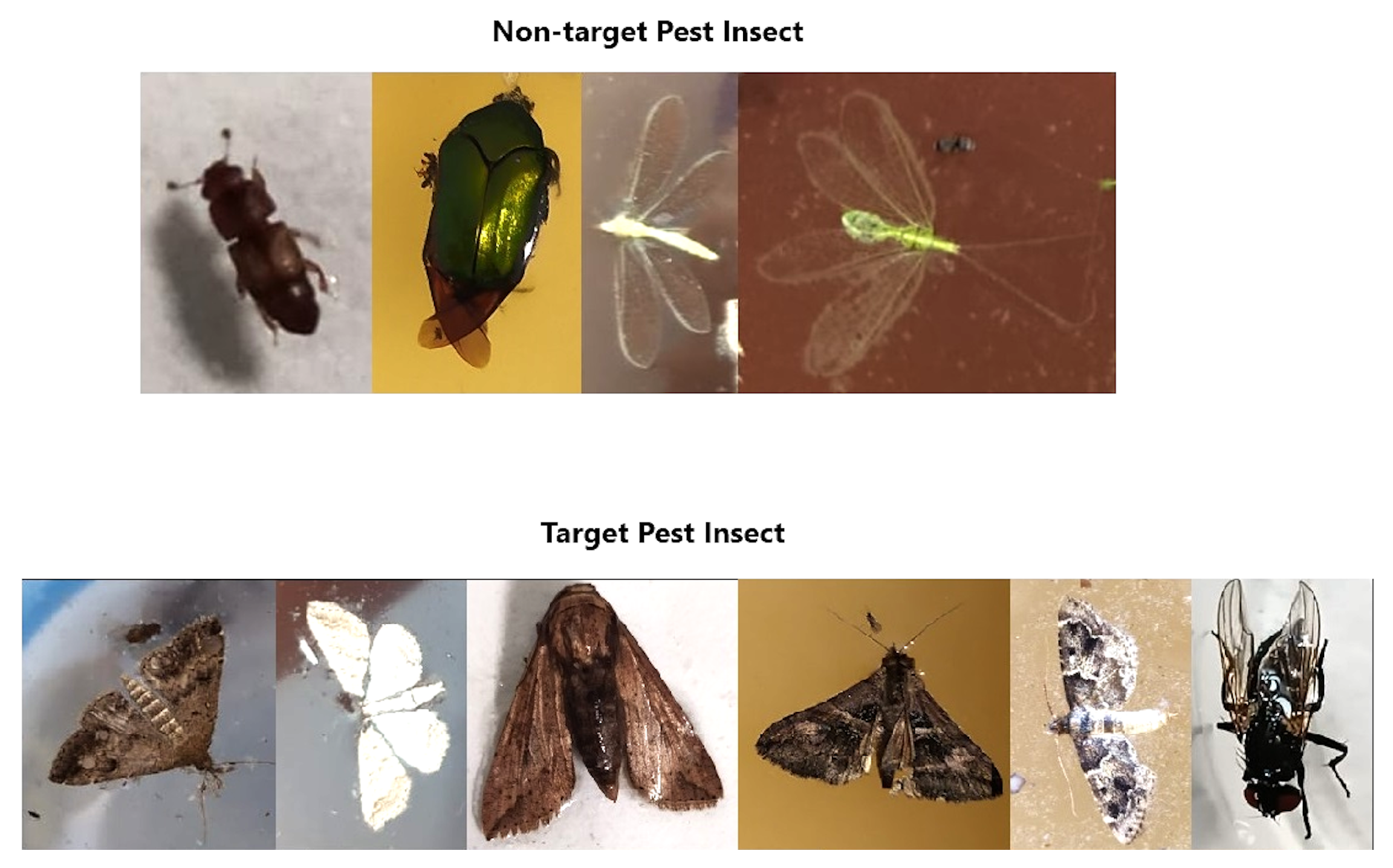 Agriculture 15 01562 g009