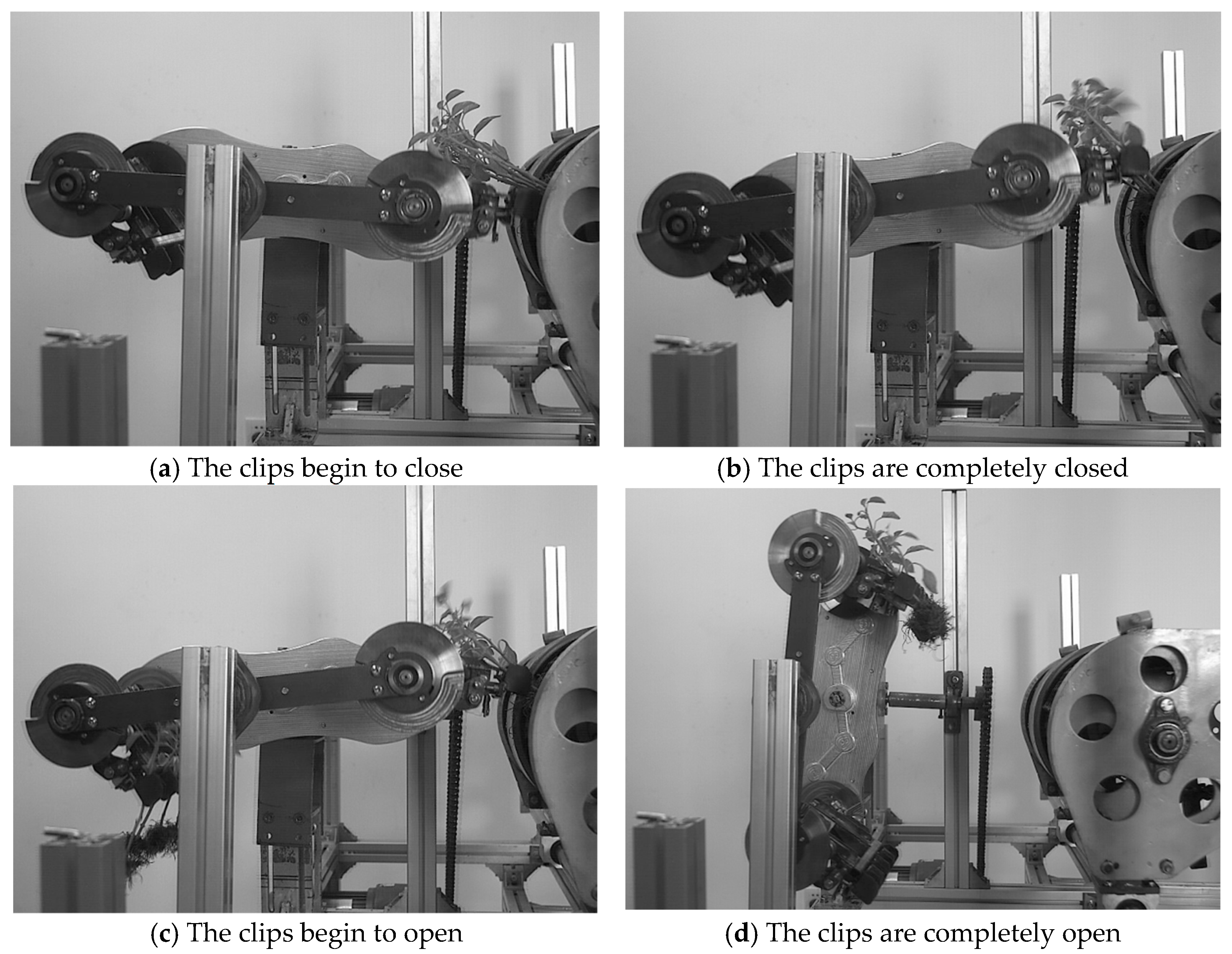 Agriculture 15 01563 g011 Agriculture 15 01563 g011