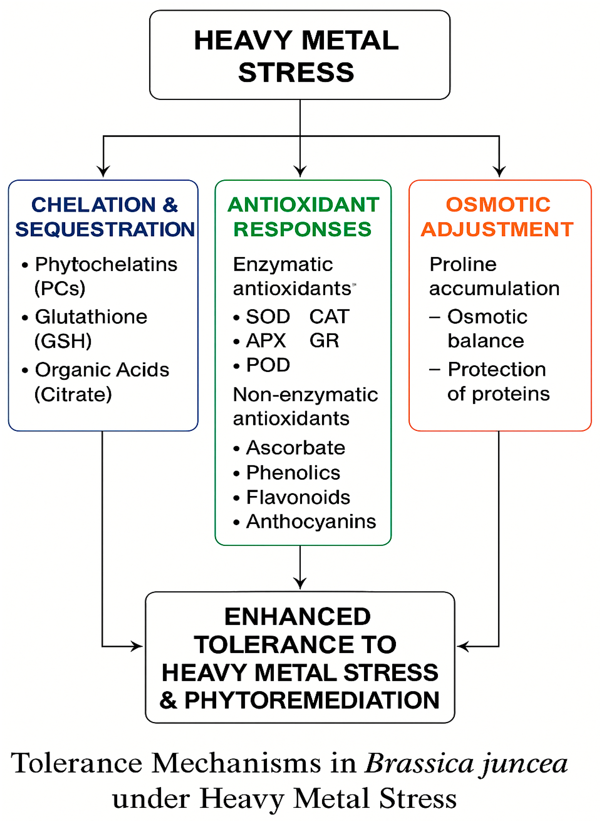 Agriculture 15 01582 g001