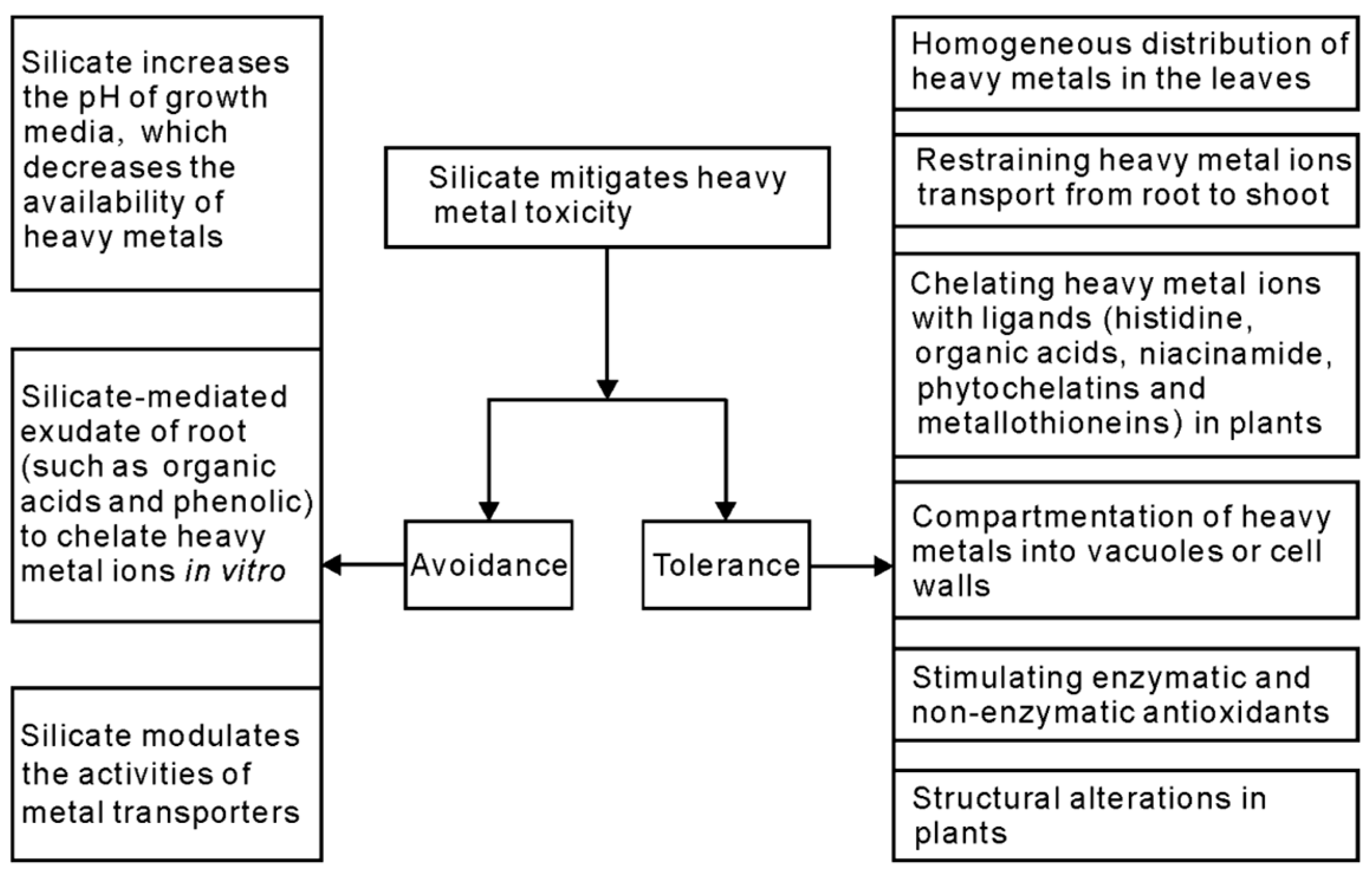 Agriculture 15 01582 g002