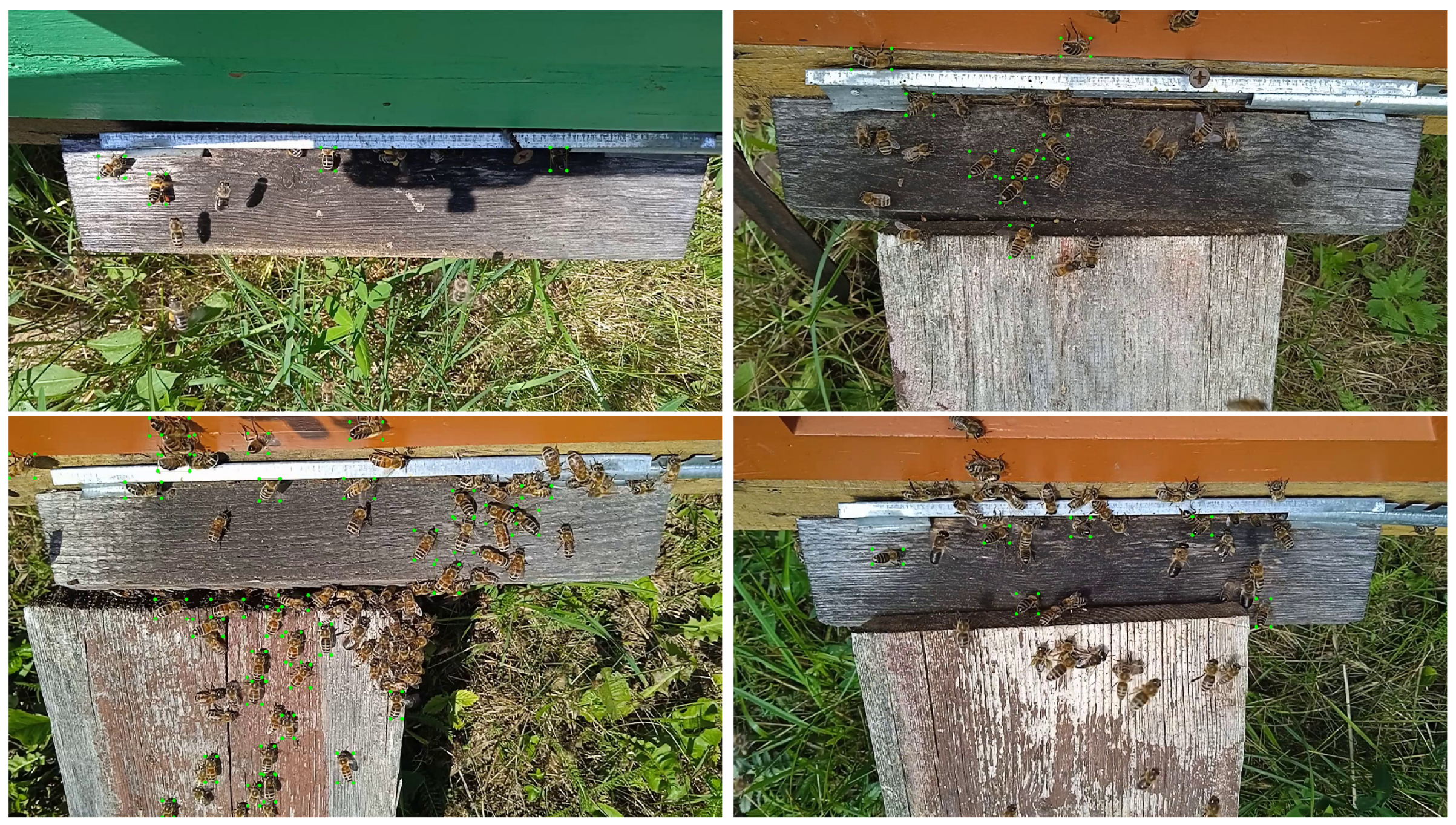 Agriculture 15 01609 g001