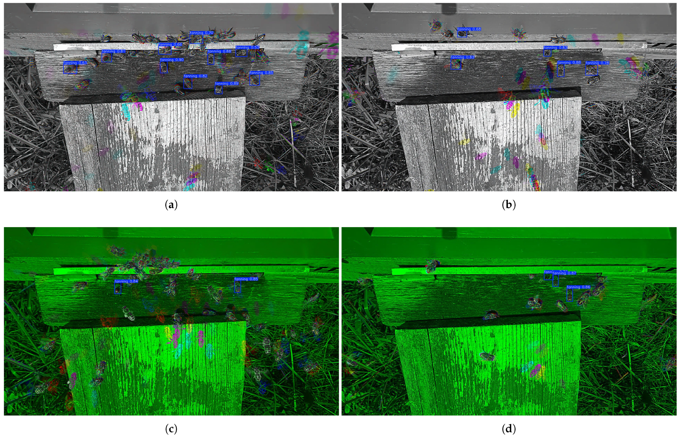Agriculture 15 01609 g007
