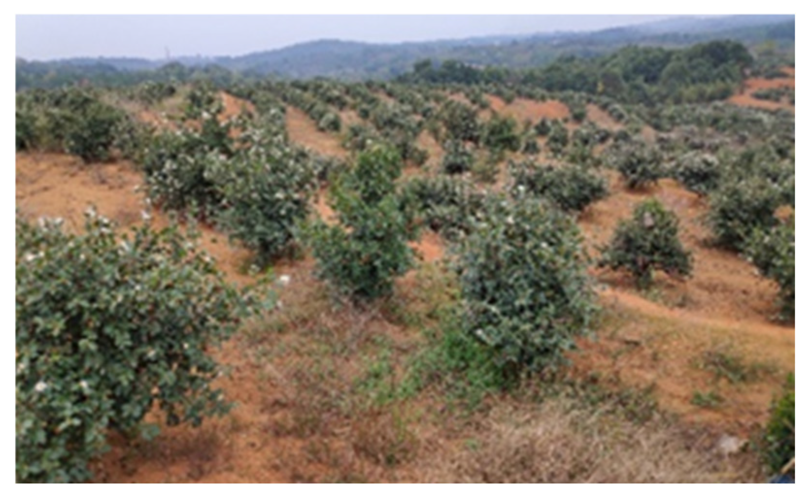 Agriculture 15 01616 g001