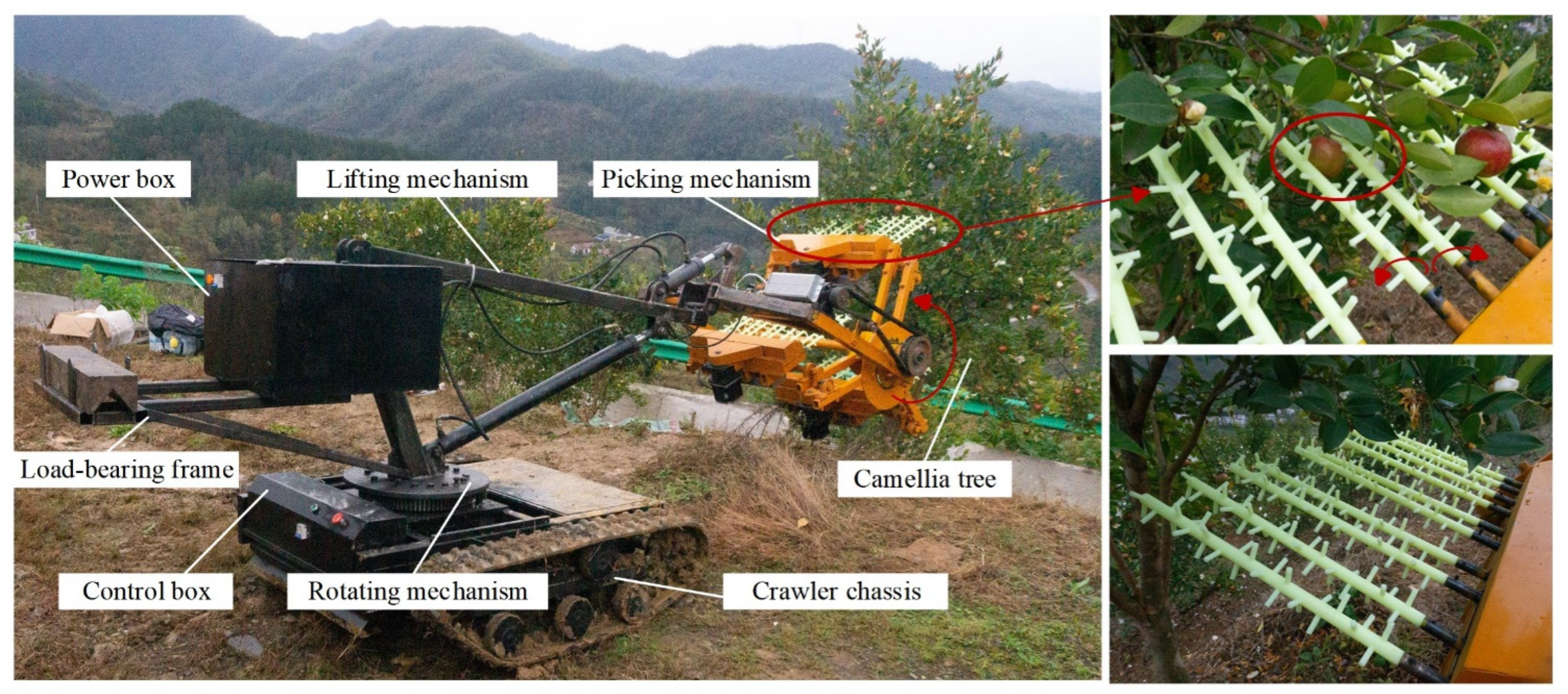 Agriculture 15 01616 g010