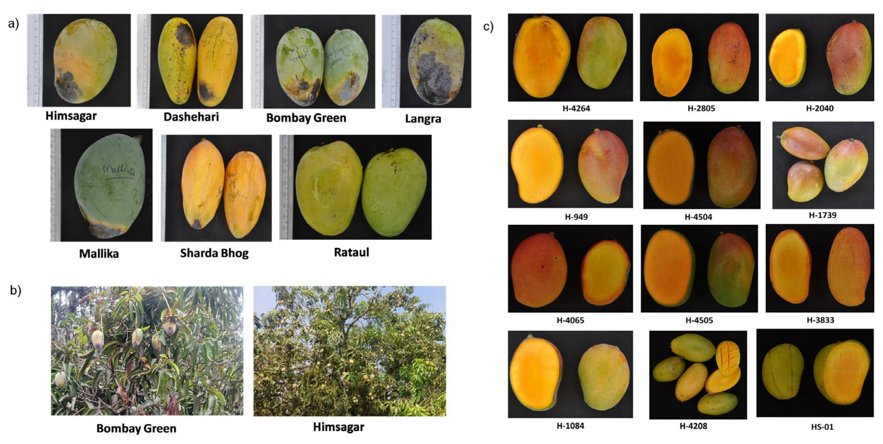 Agriculture 15 01619 g003