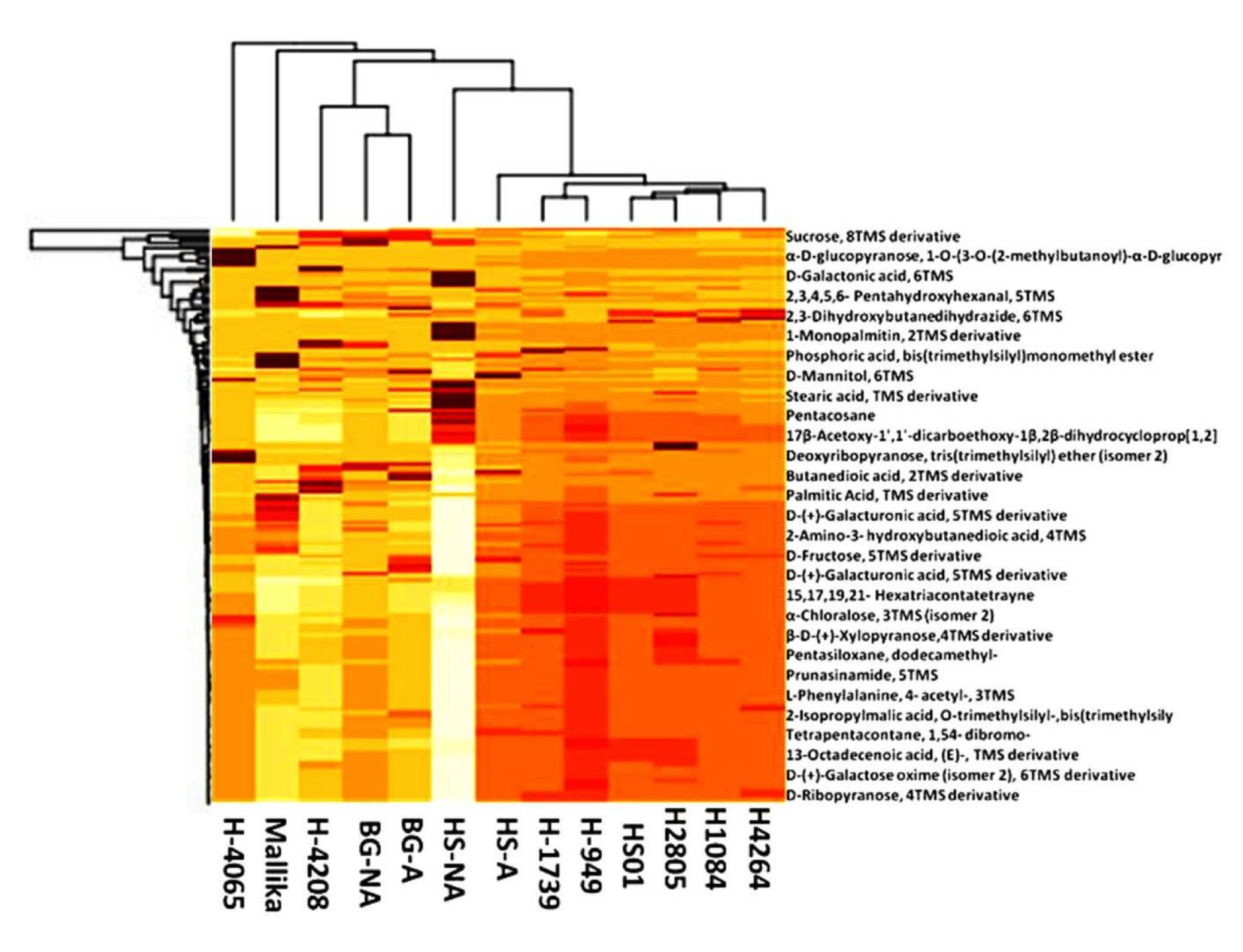 Agriculture 15 01619 g007