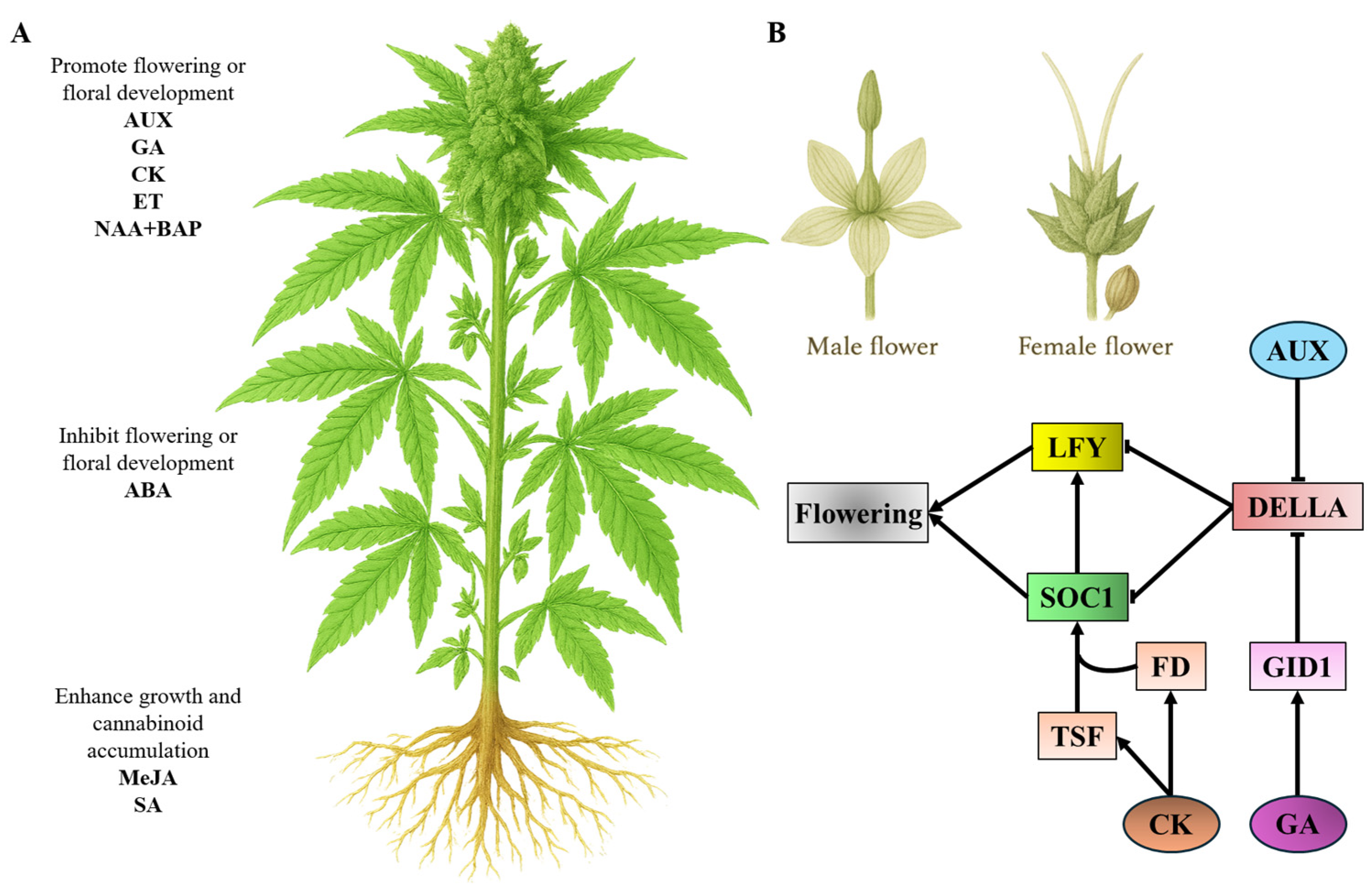 Agriculture 15 01635 g002