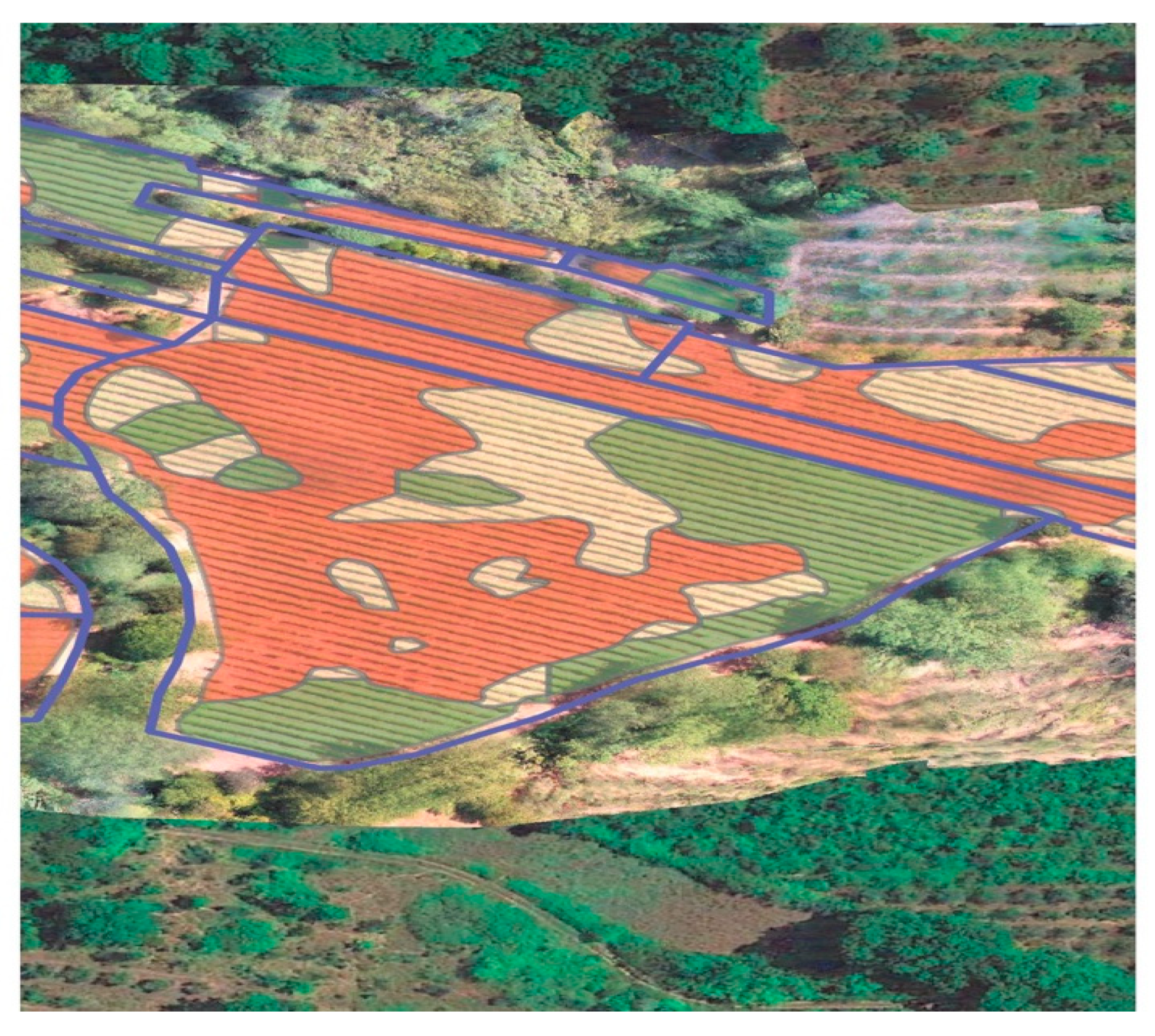 Agriculture 15 01636 g002