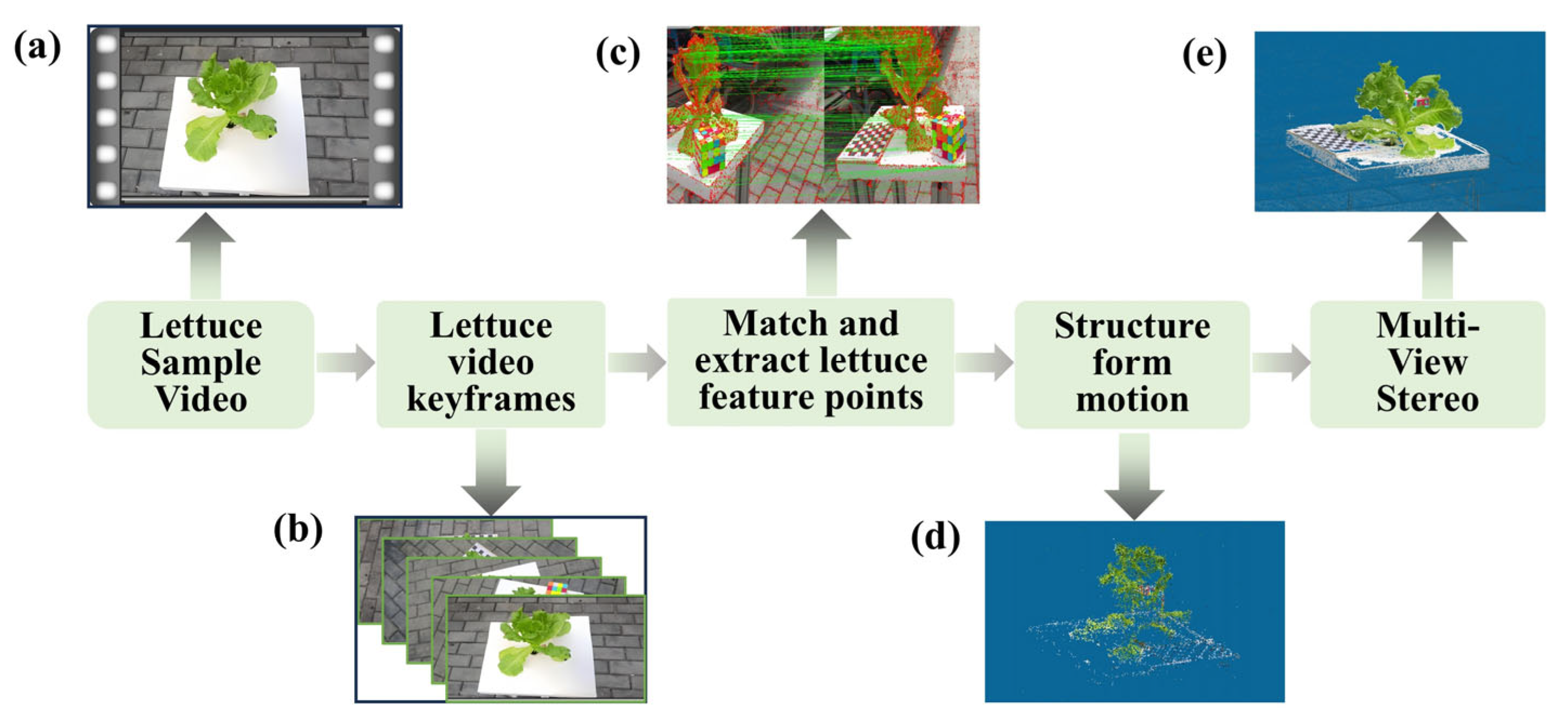 Agriculture 15 01662 g005