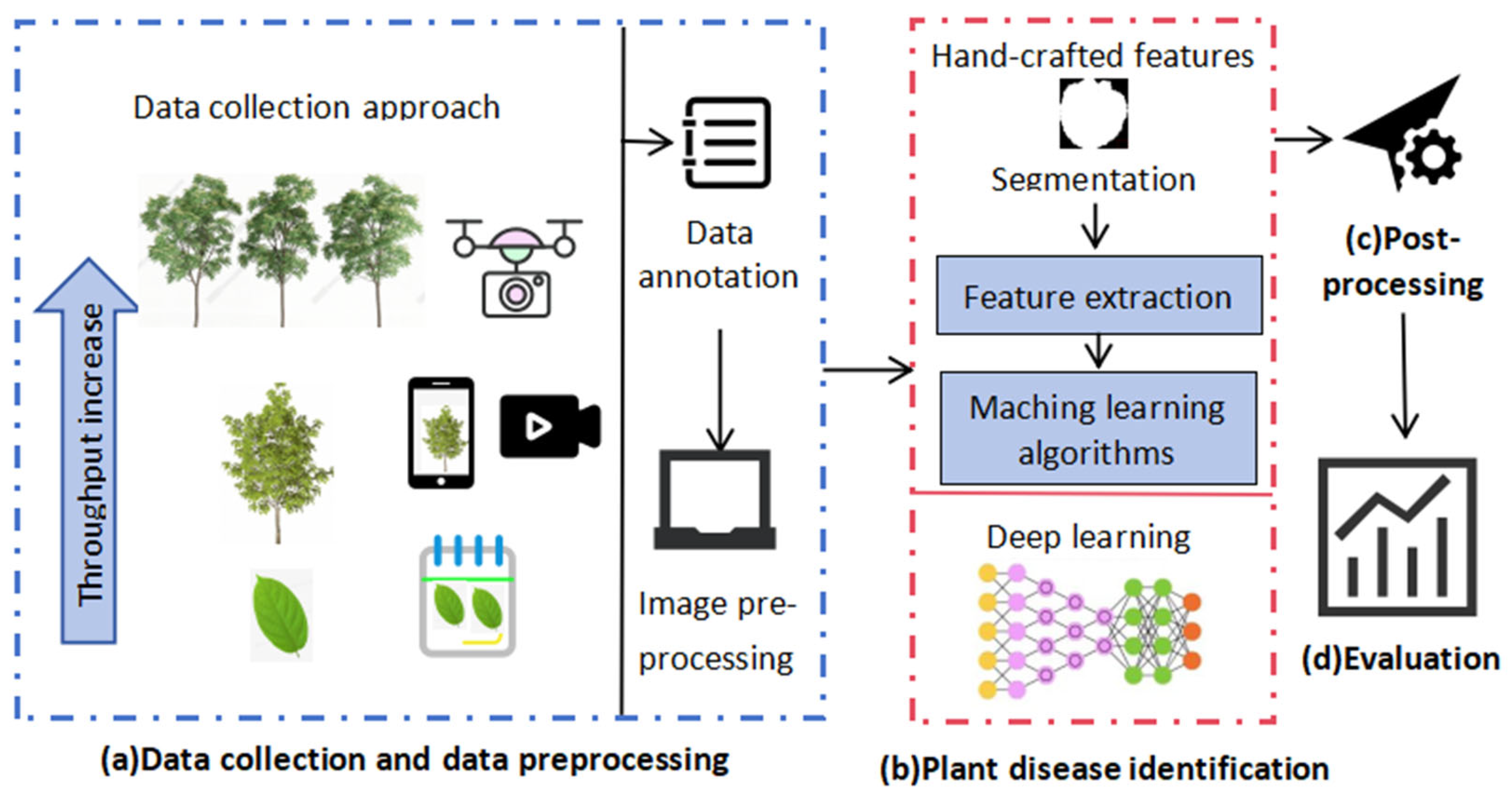 Agriculture 15 01670 g005