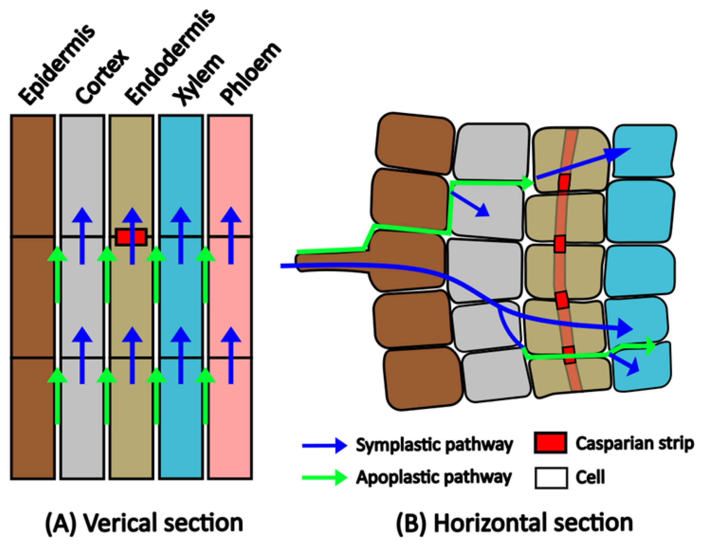 Agriculture 15 01676 g003
