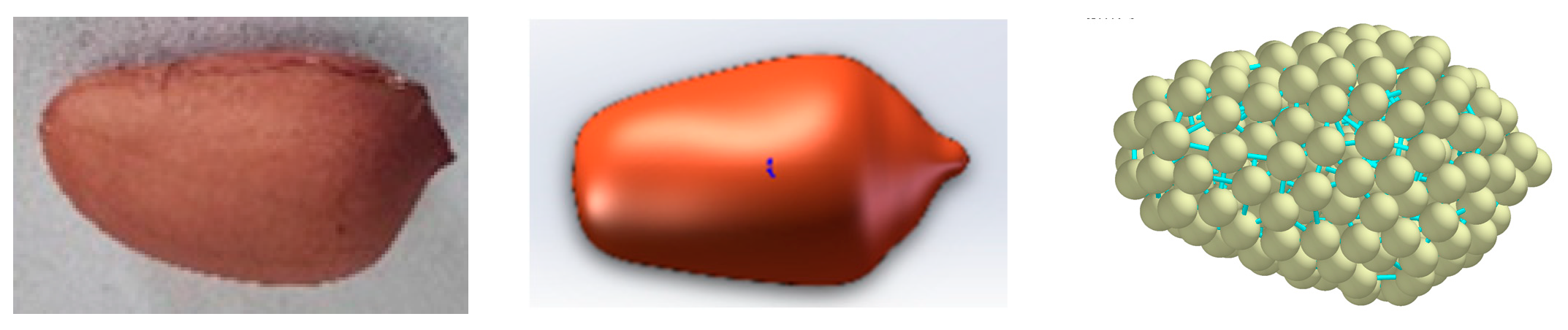 Agriculture 15 01678 g003