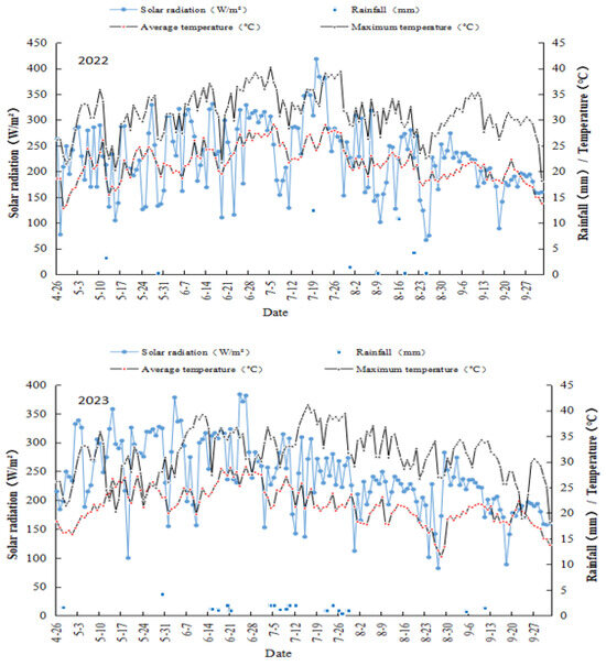 Parameter Sensitivity Analysis and Irrigation Regime Optimization