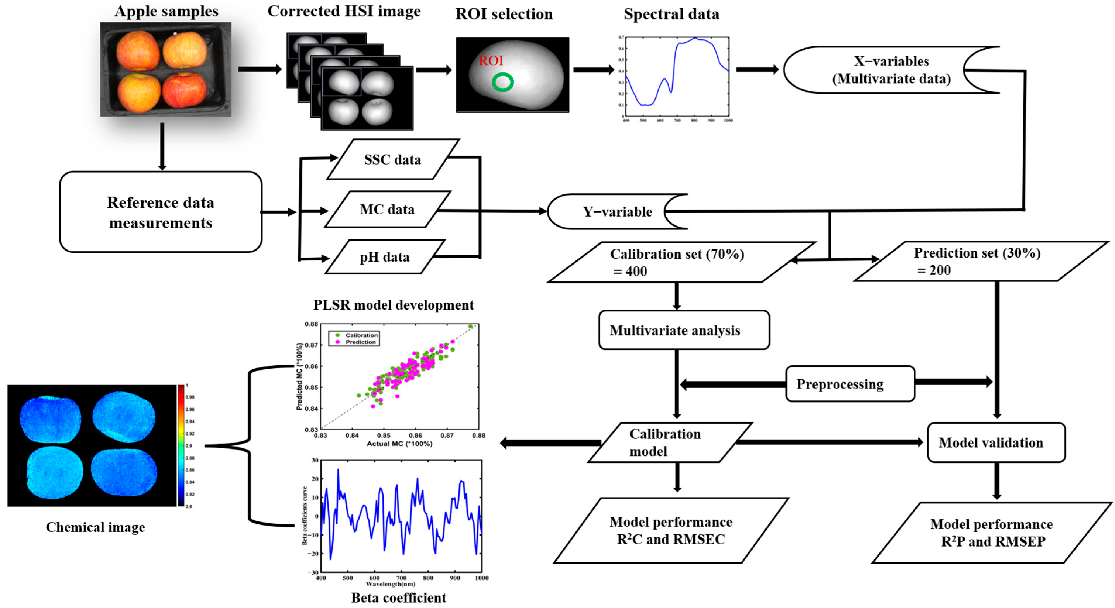 Agriculture 15 01718 g002