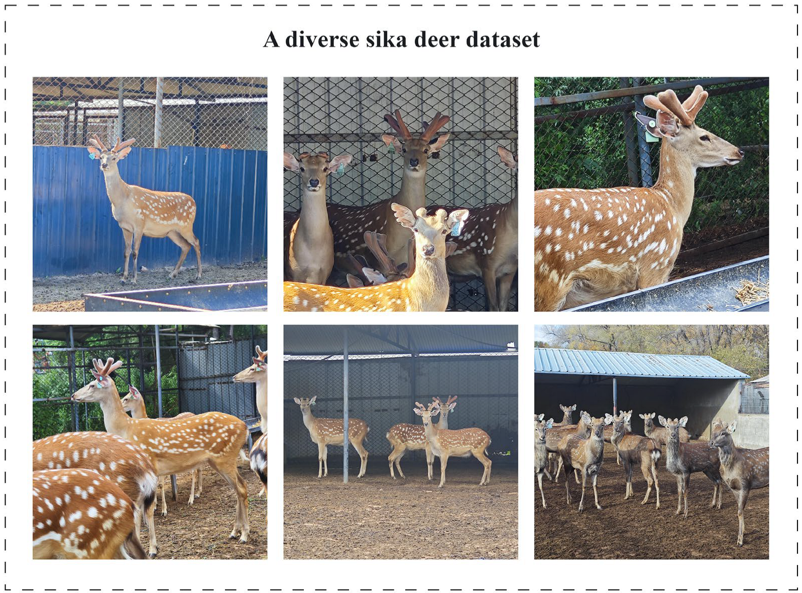 Agriculture 15 01719 g001 Agriculture 15 01719 g001