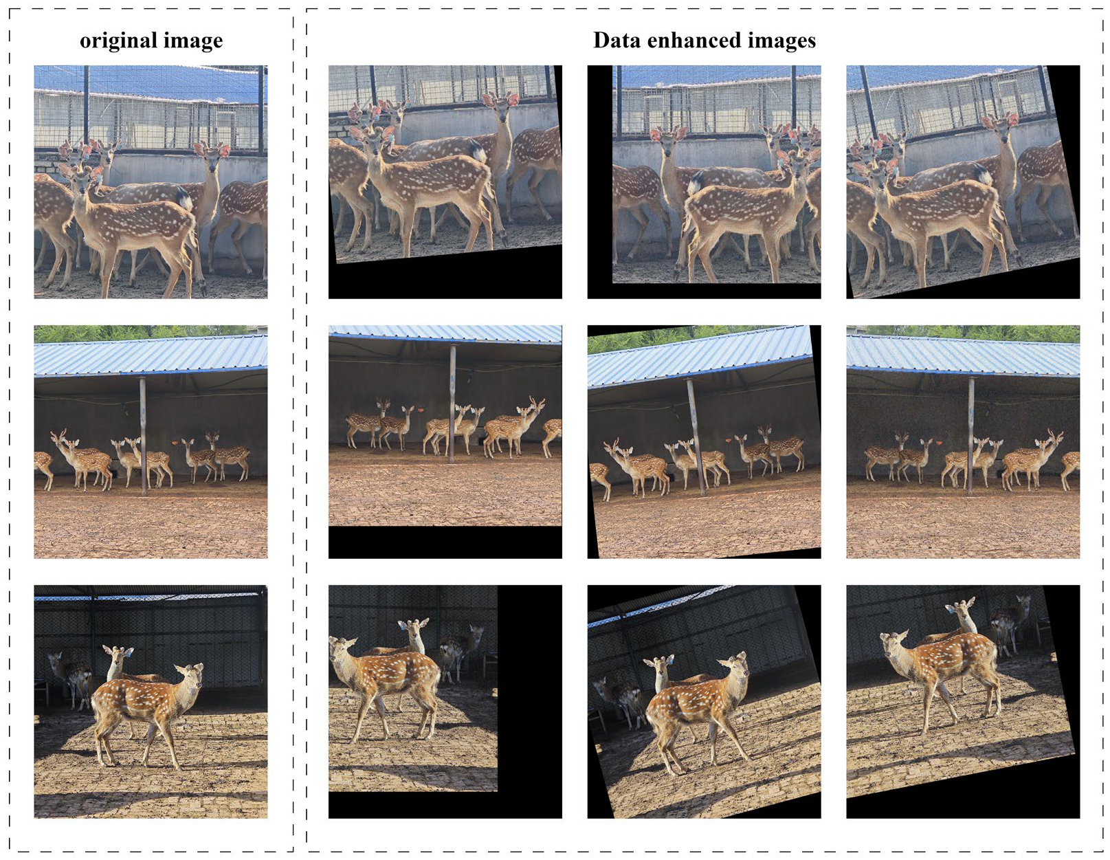 Agriculture 15 01719 g002 Agriculture 15 01719 g002