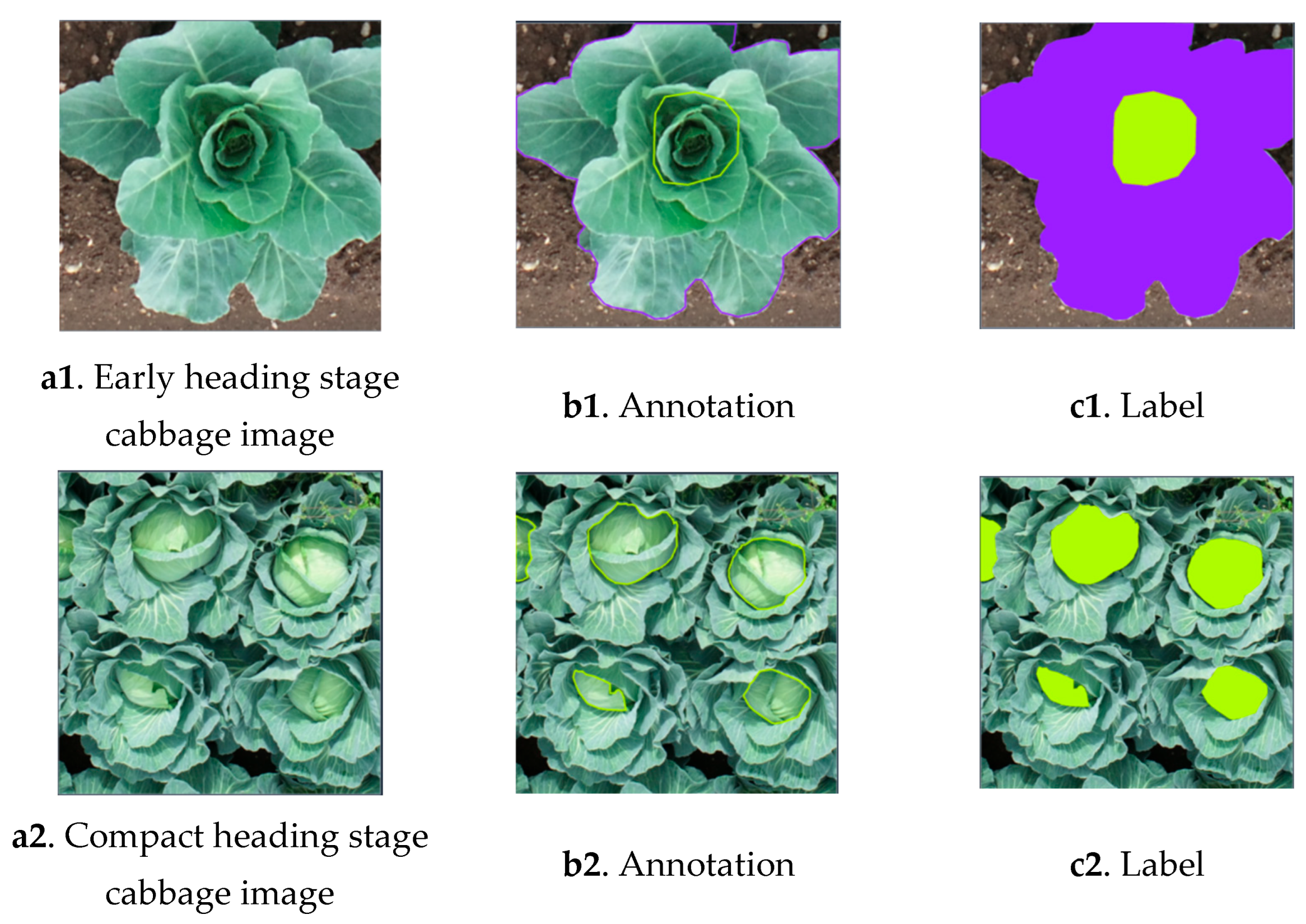 Agriculture 15 01723 g003 Agriculture 15 01723 g003