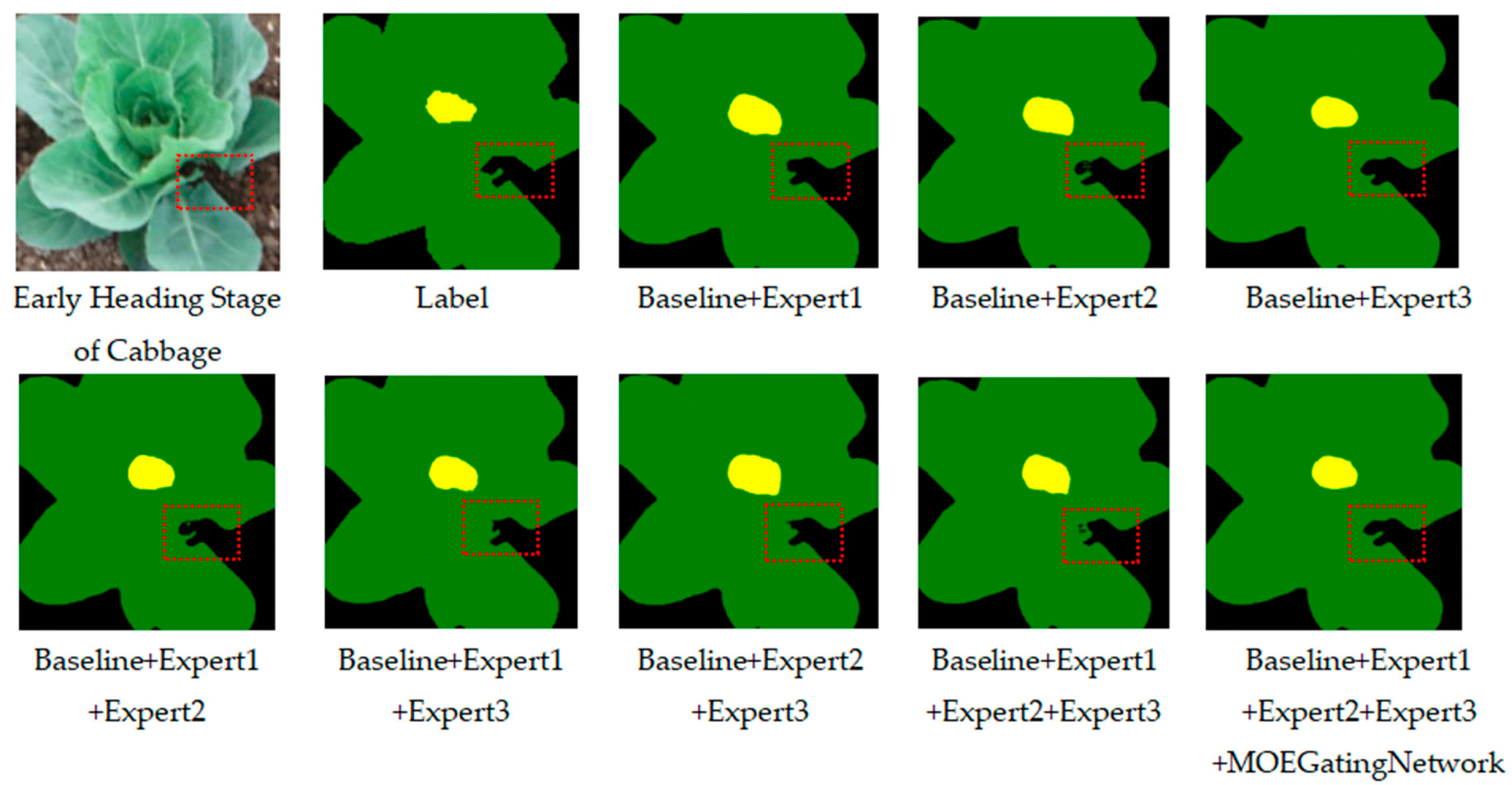 Agriculture 15 01723 g011 Agriculture 15 01723 g011