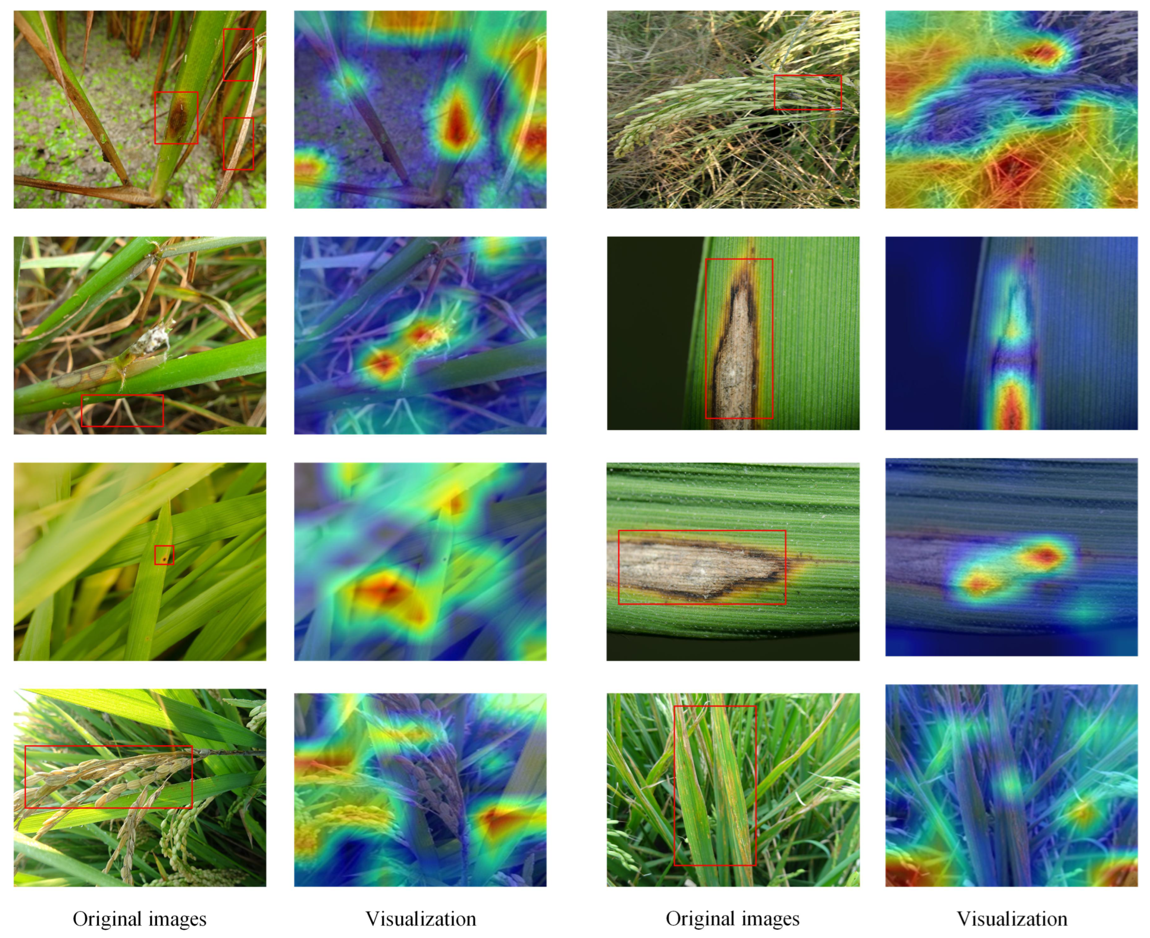 Agriculture 15 01724 g007 Agriculture 15 01724 g007