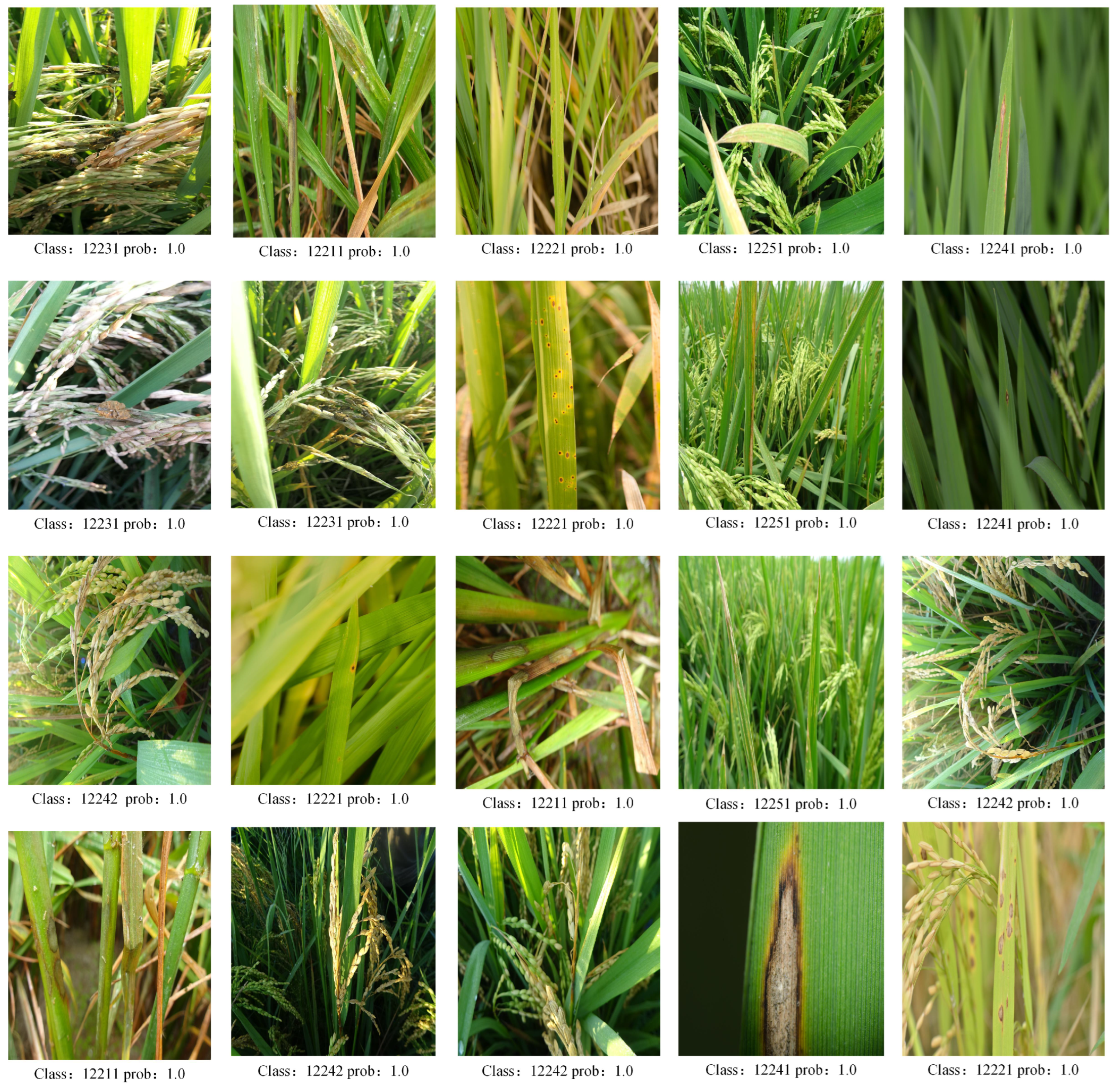 Agriculture 15 01724 g008 Agriculture 15 01724 g008