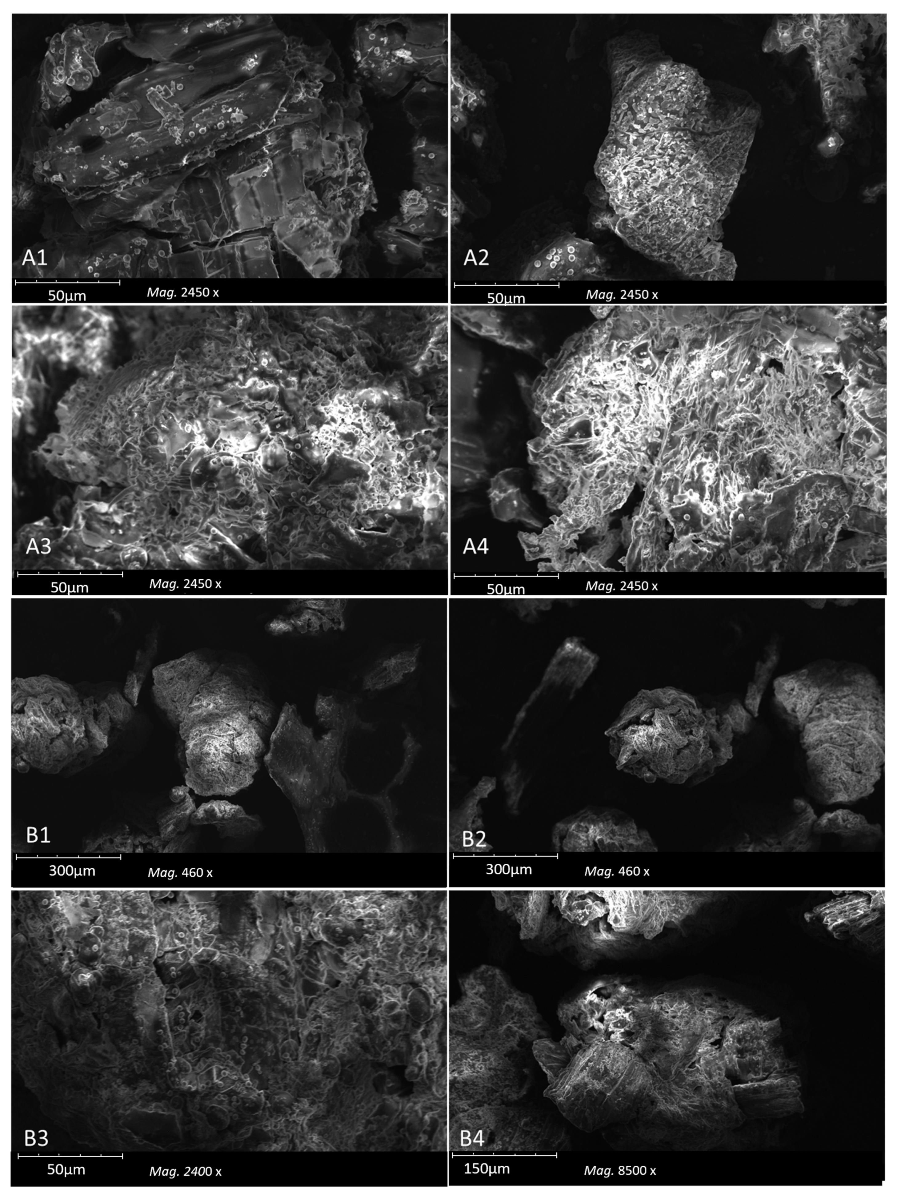 Agriculture 15 01731 g002 Agriculture 15 01731 g002