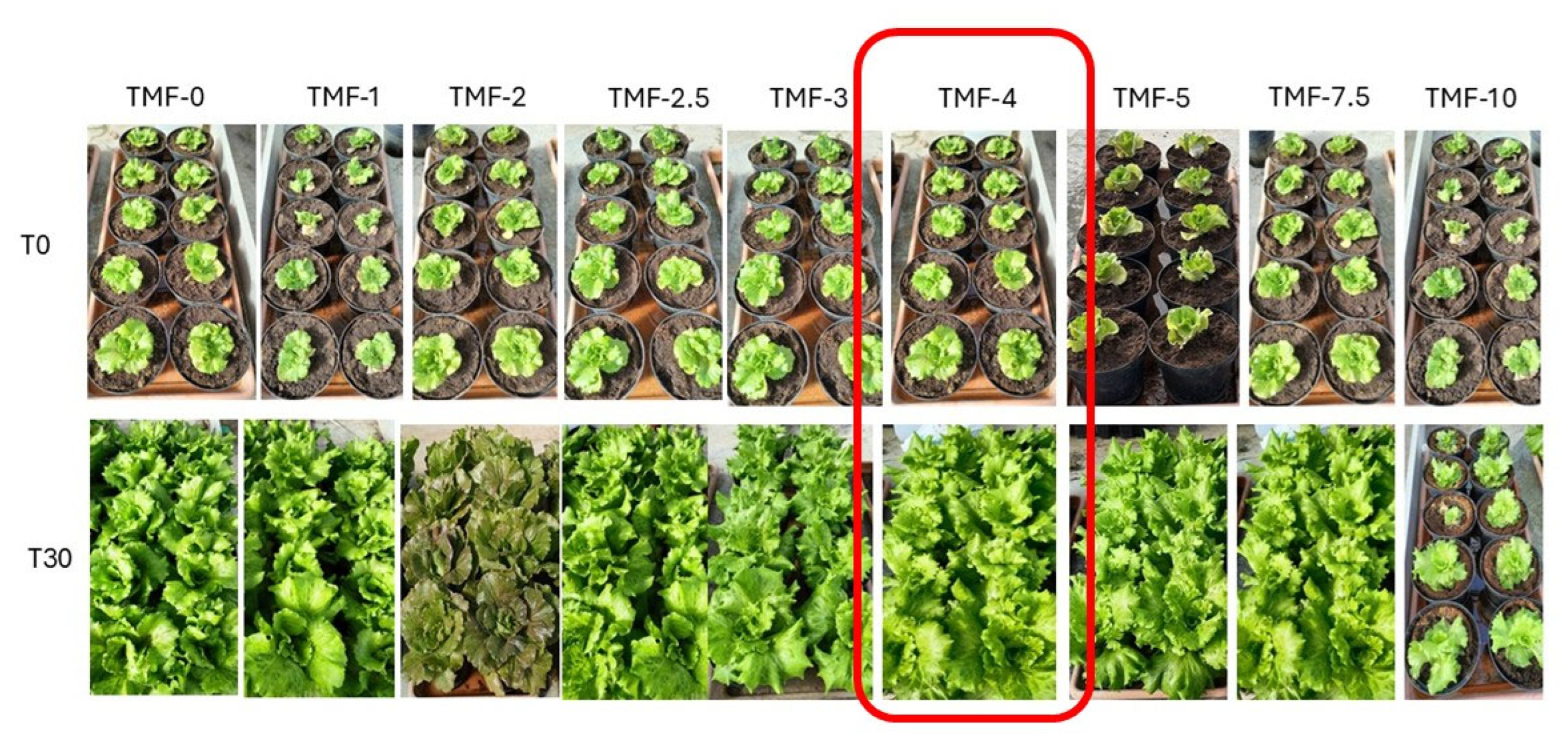 Agriculture 15 01731 g009 Agriculture 15 01731 g009