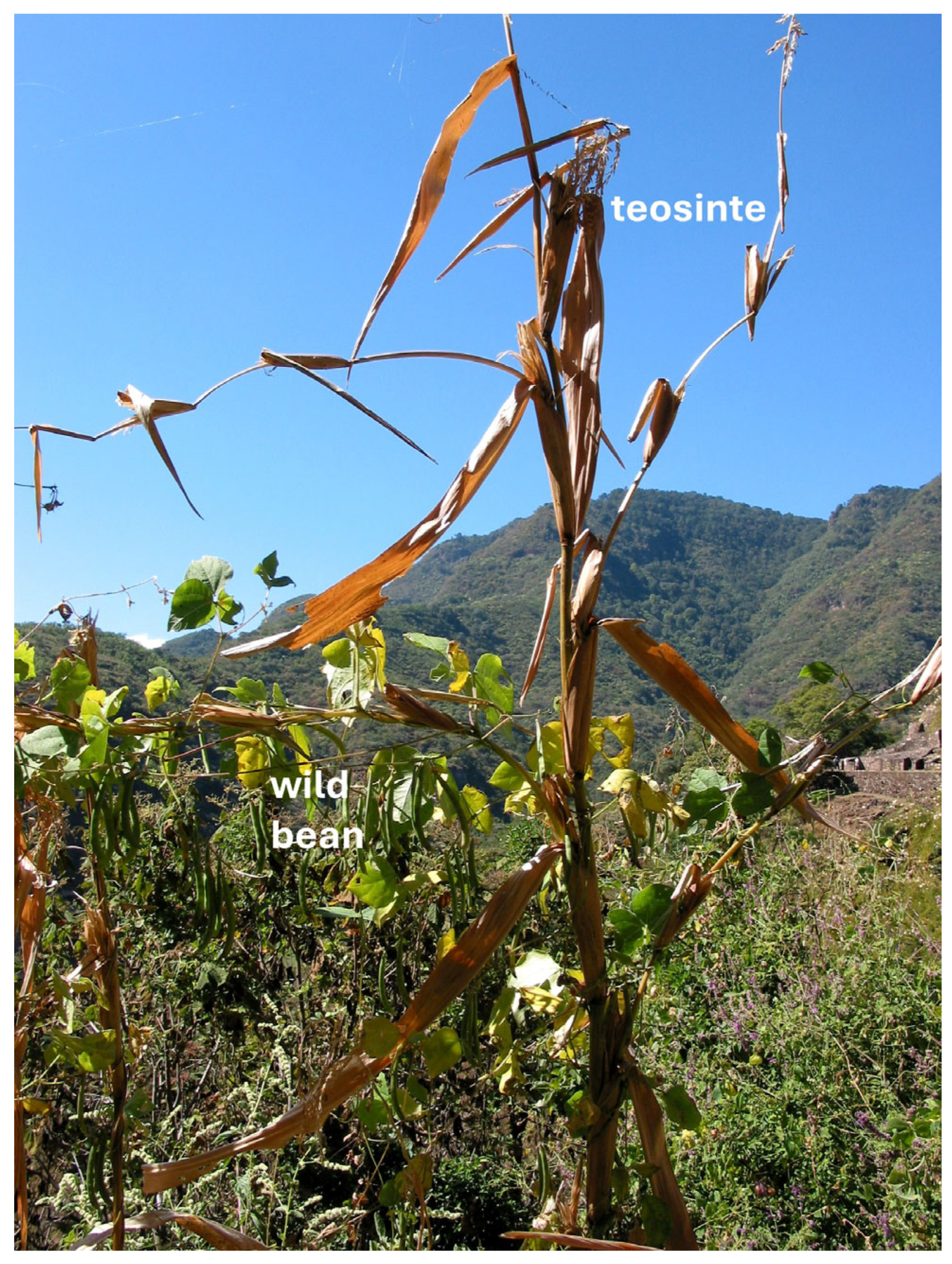 Agriculture 15 01737 g002 Agriculture 15 01737 g002