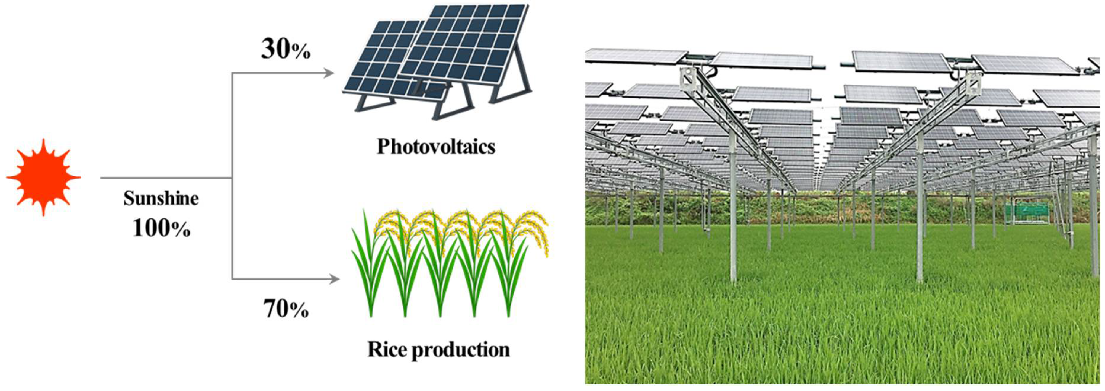 Agriculture 15 01741 g001
