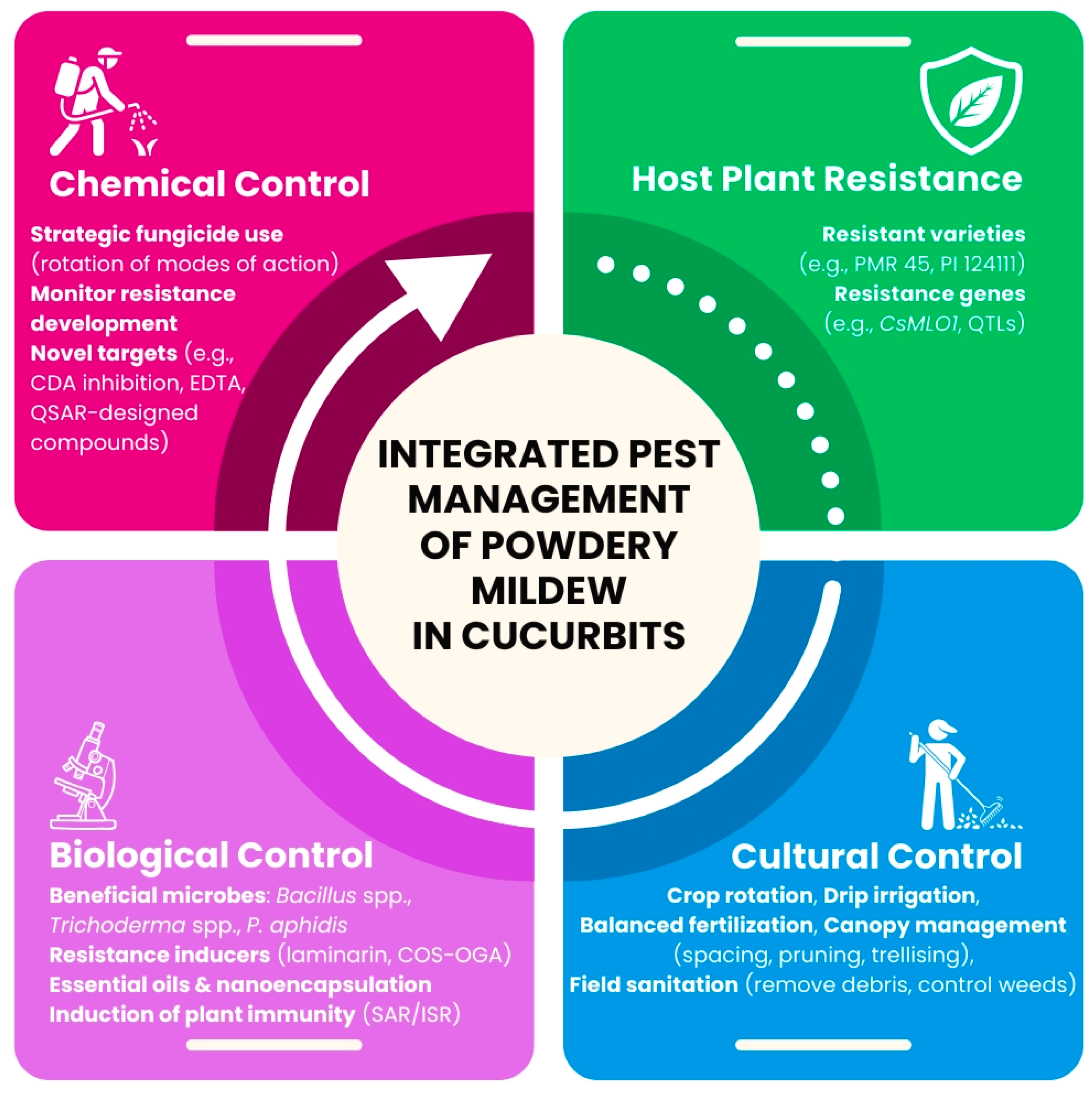 Agriculture 15 01743 g004