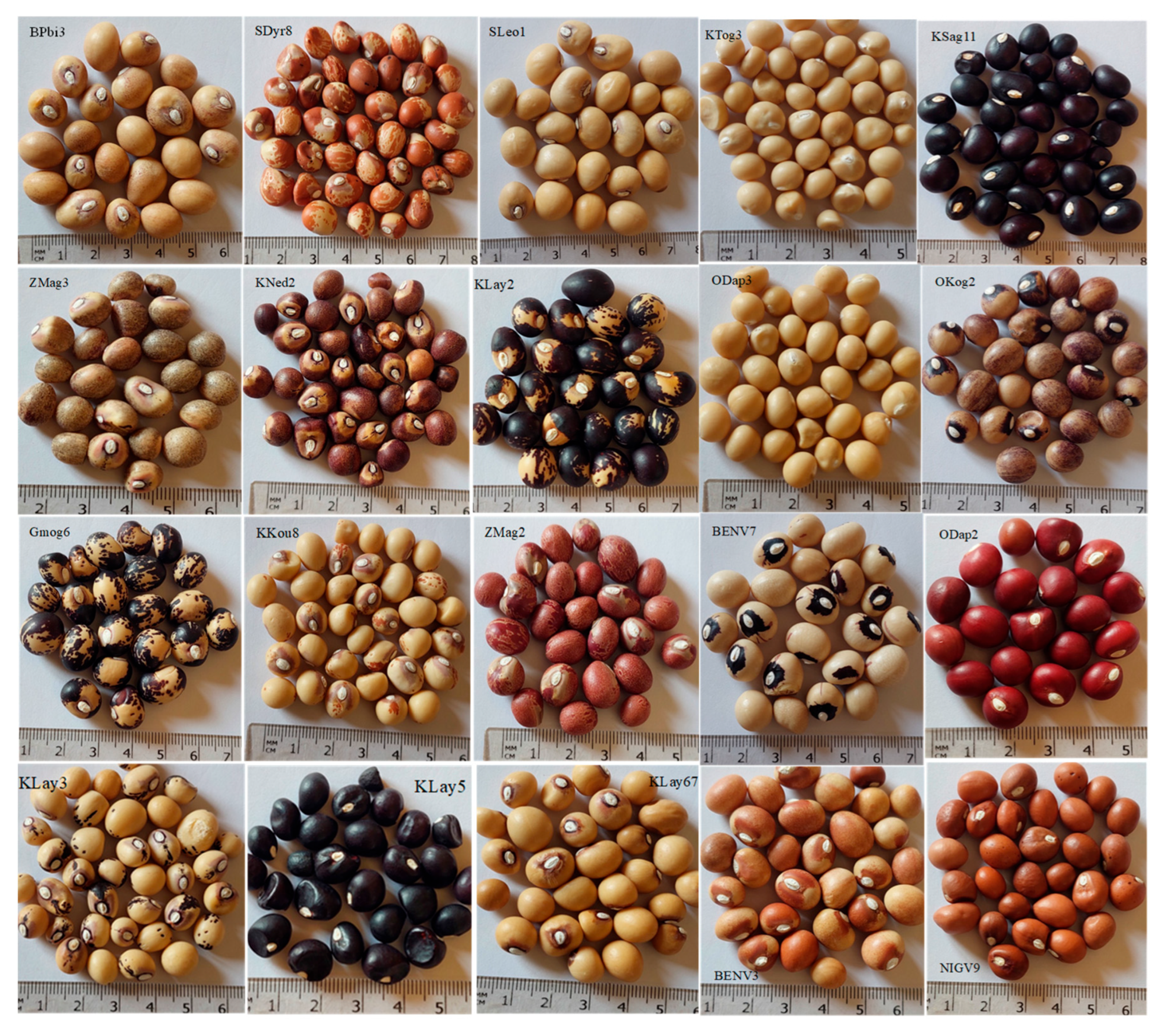 Agriculture 15 01769 g002