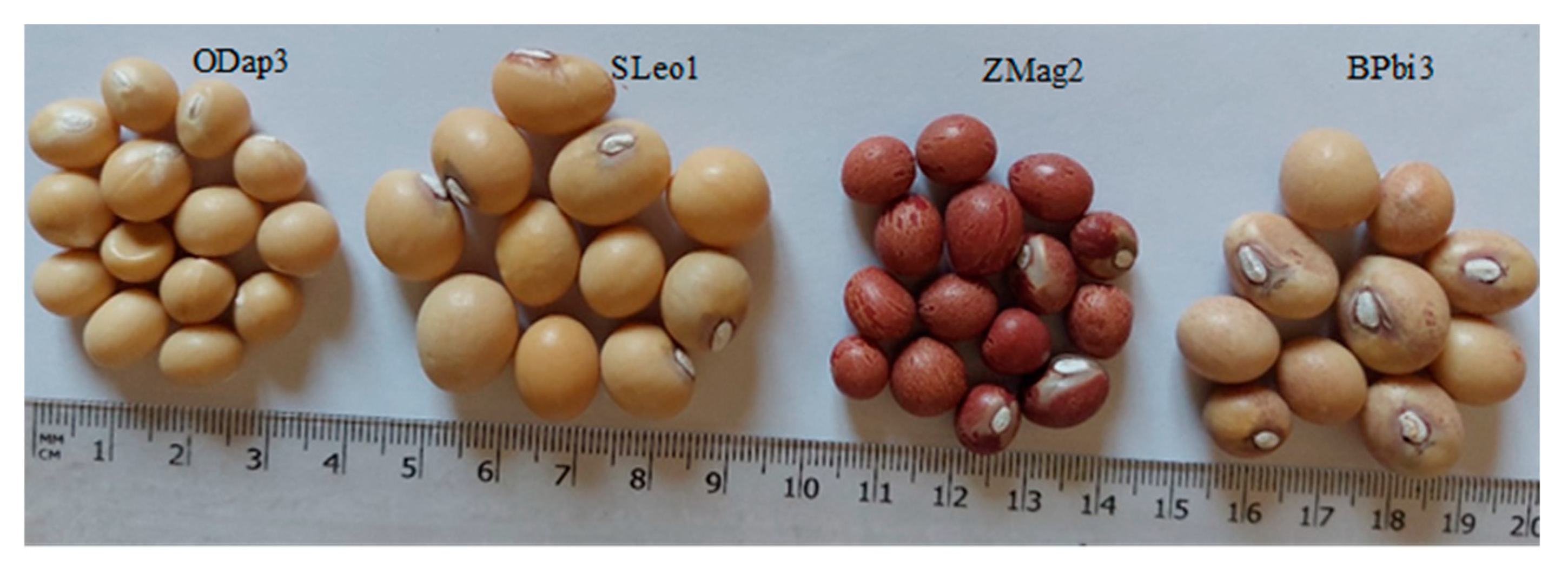 Agriculture 15 01769 g007