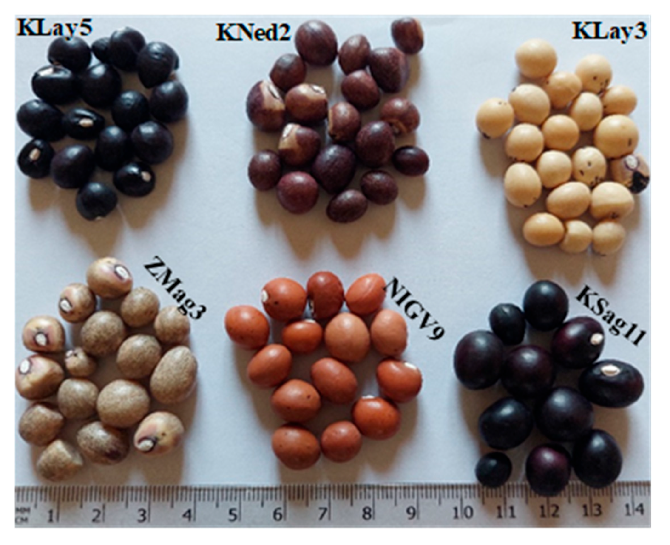 Agriculture 15 01769 g009