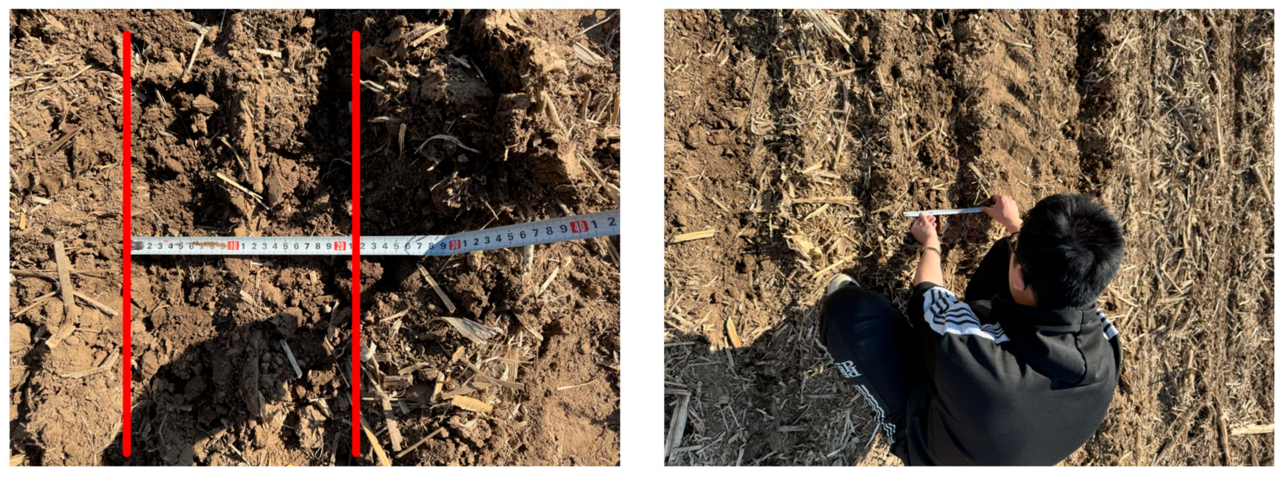 Agriculture 15 01771 g014