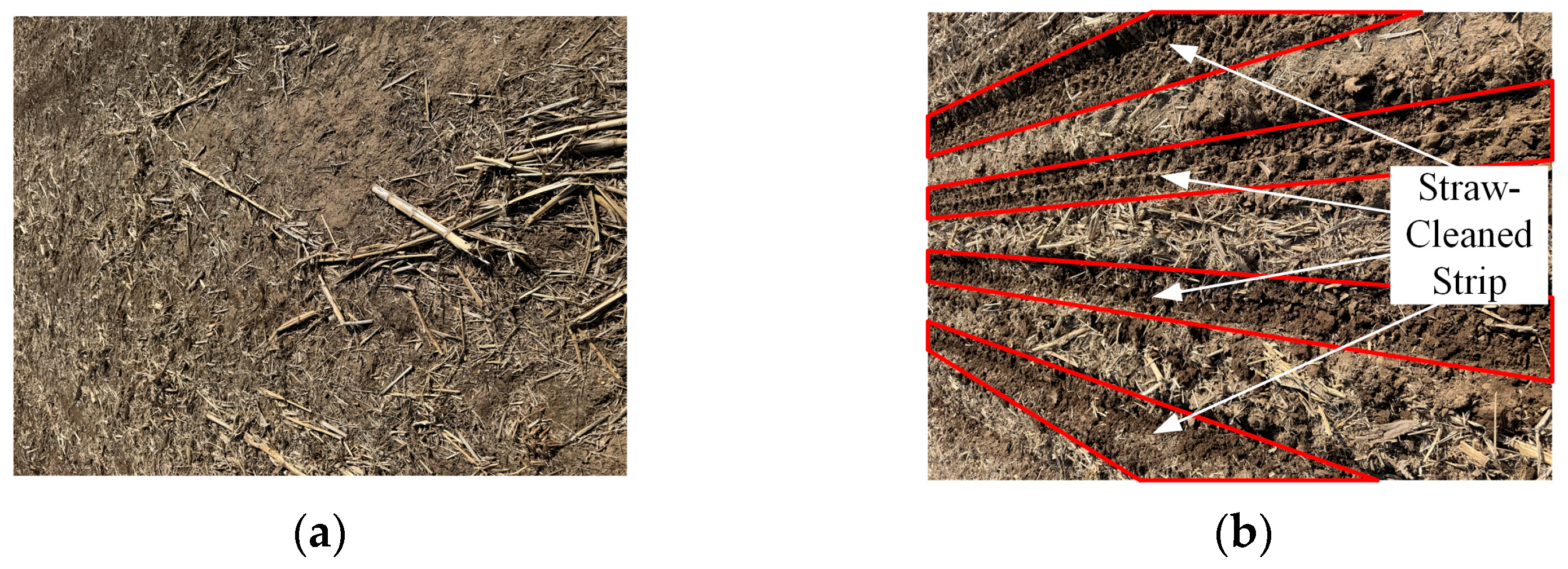 Agriculture 15 01771 g017