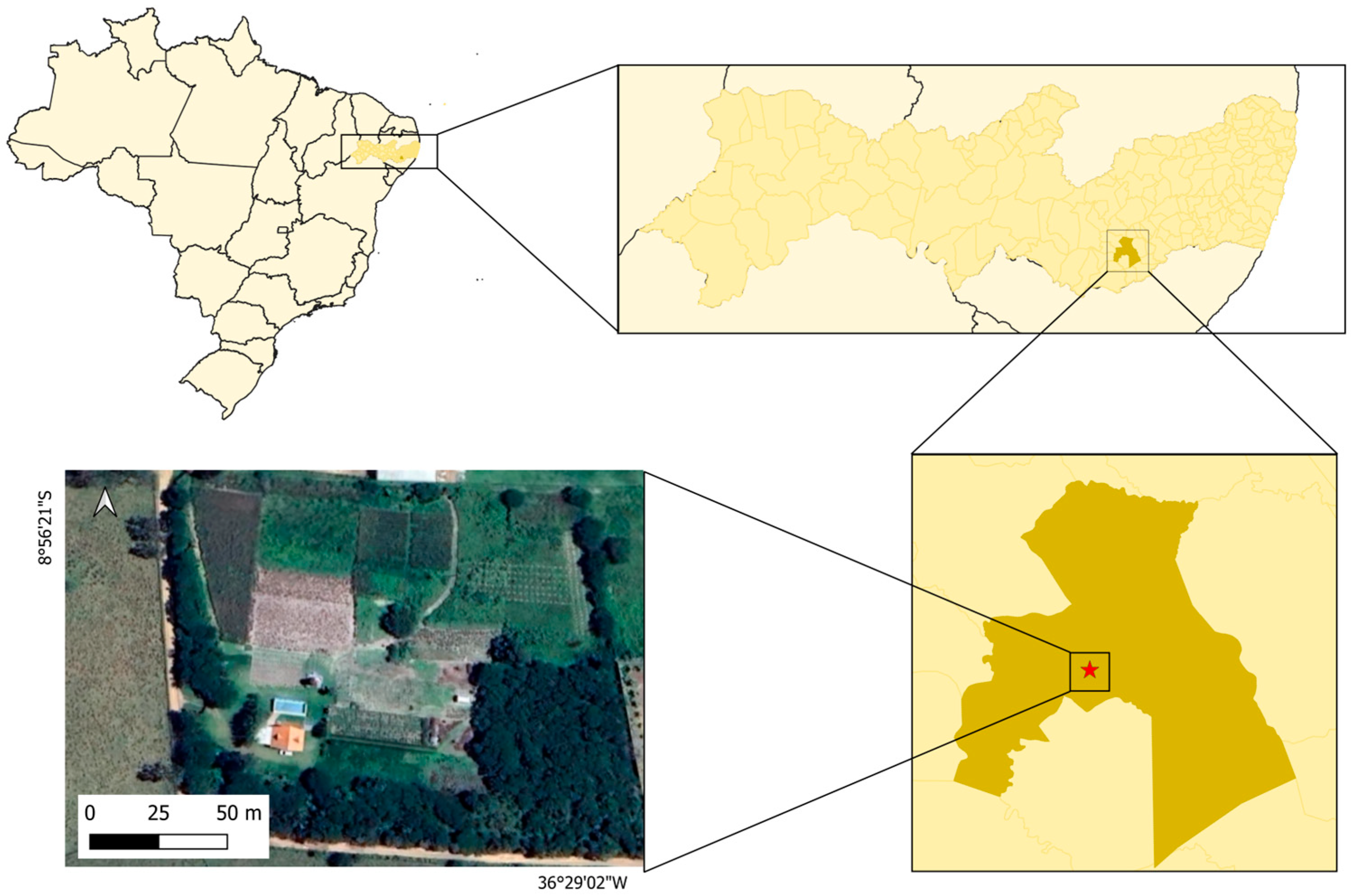 Agriculture 15 01774 g001