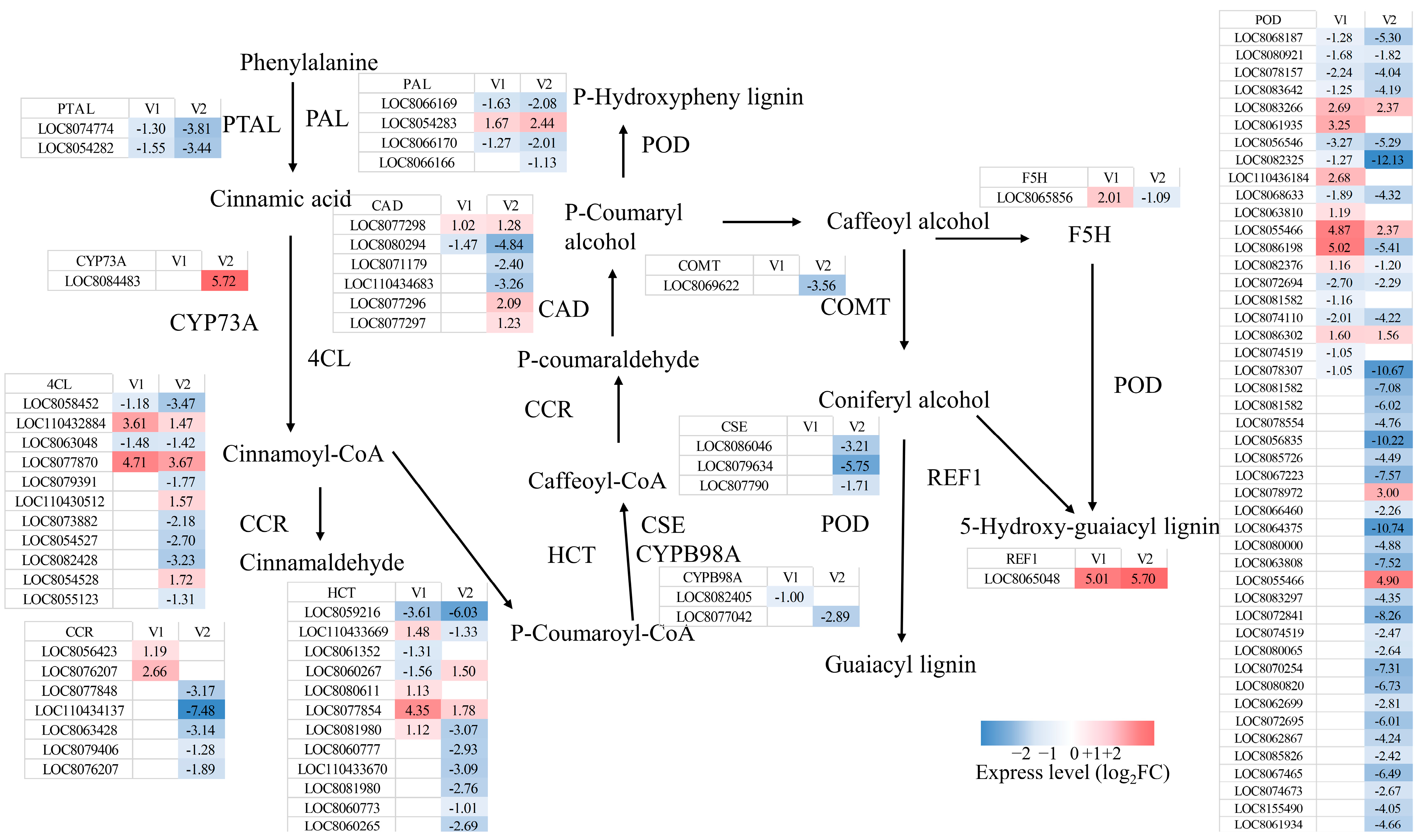 Agriculture 15 01780 g005 Agriculture 15 01780 g005