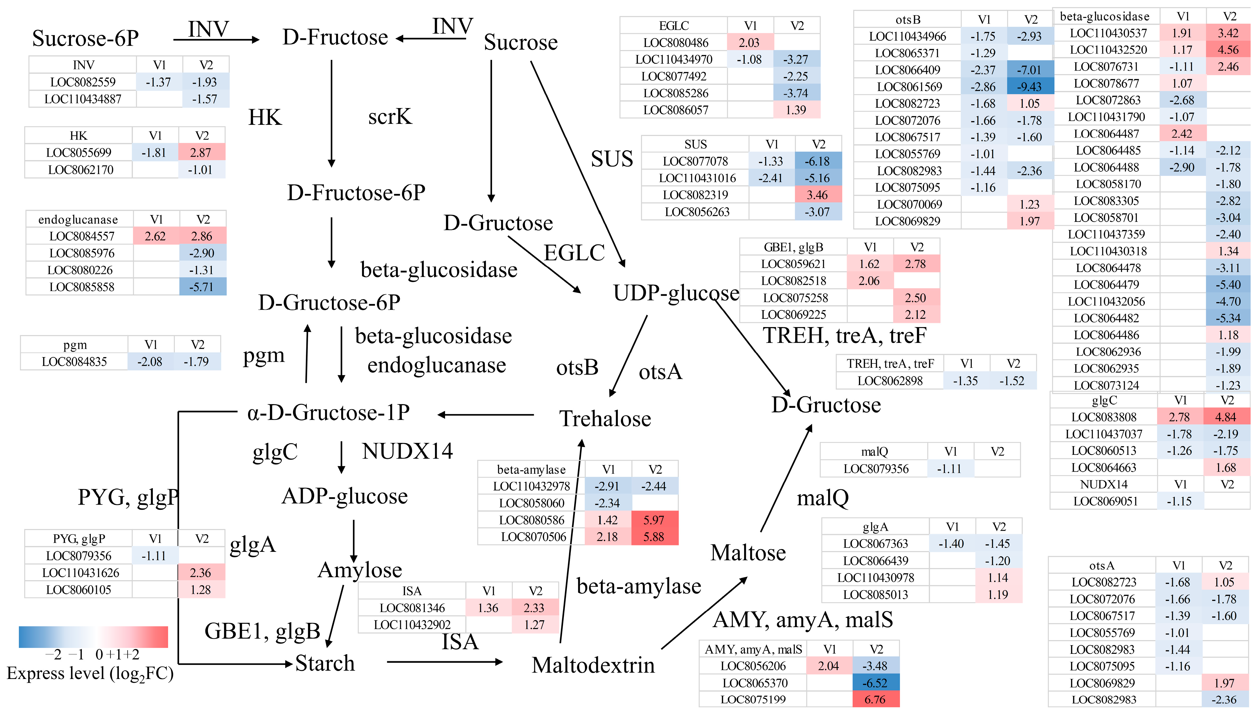 Agriculture 15 01780 g007 Agriculture 15 01780 g007