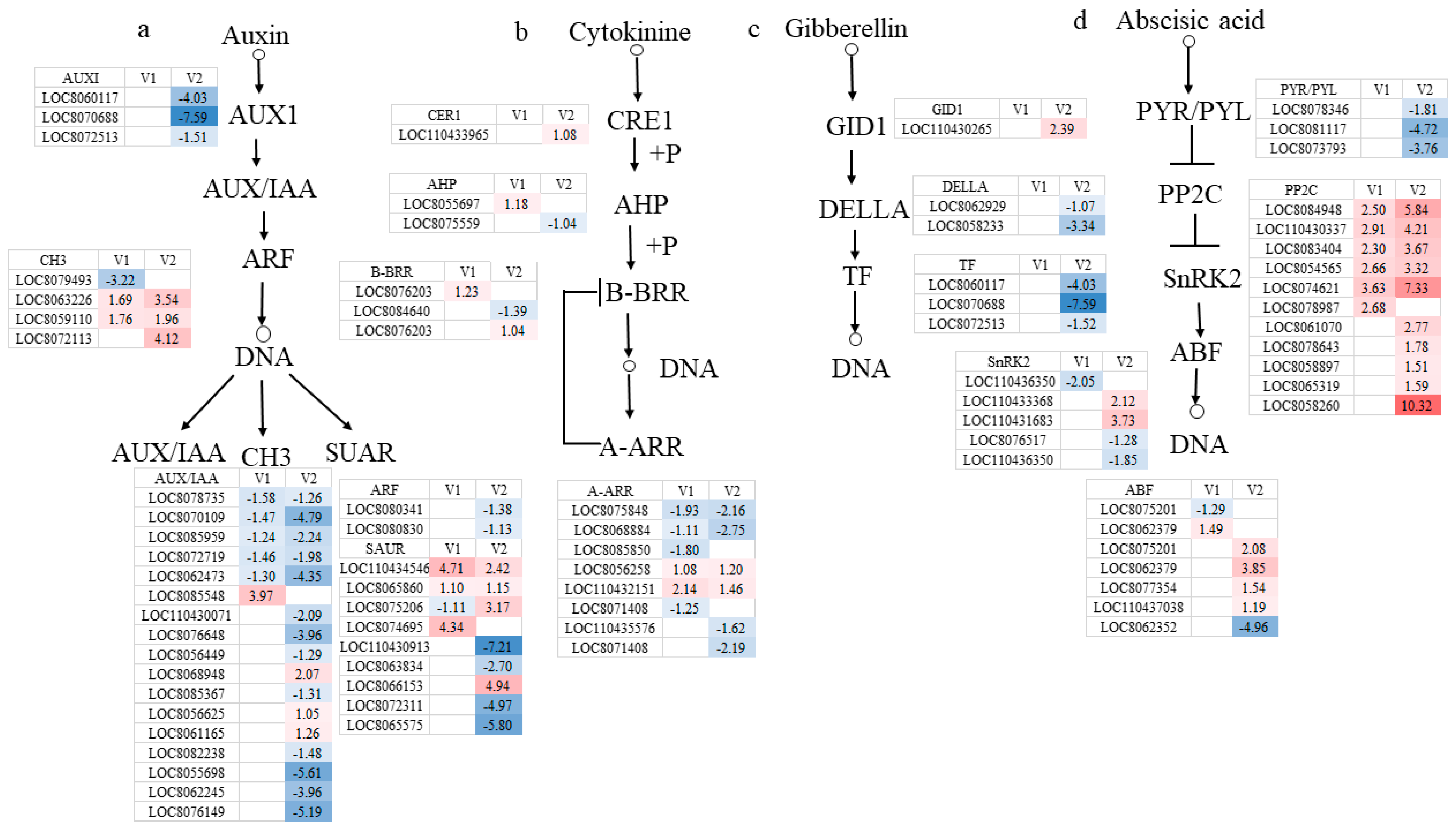 Agriculture 15 01780 g008a Agriculture 15 01780 g008a