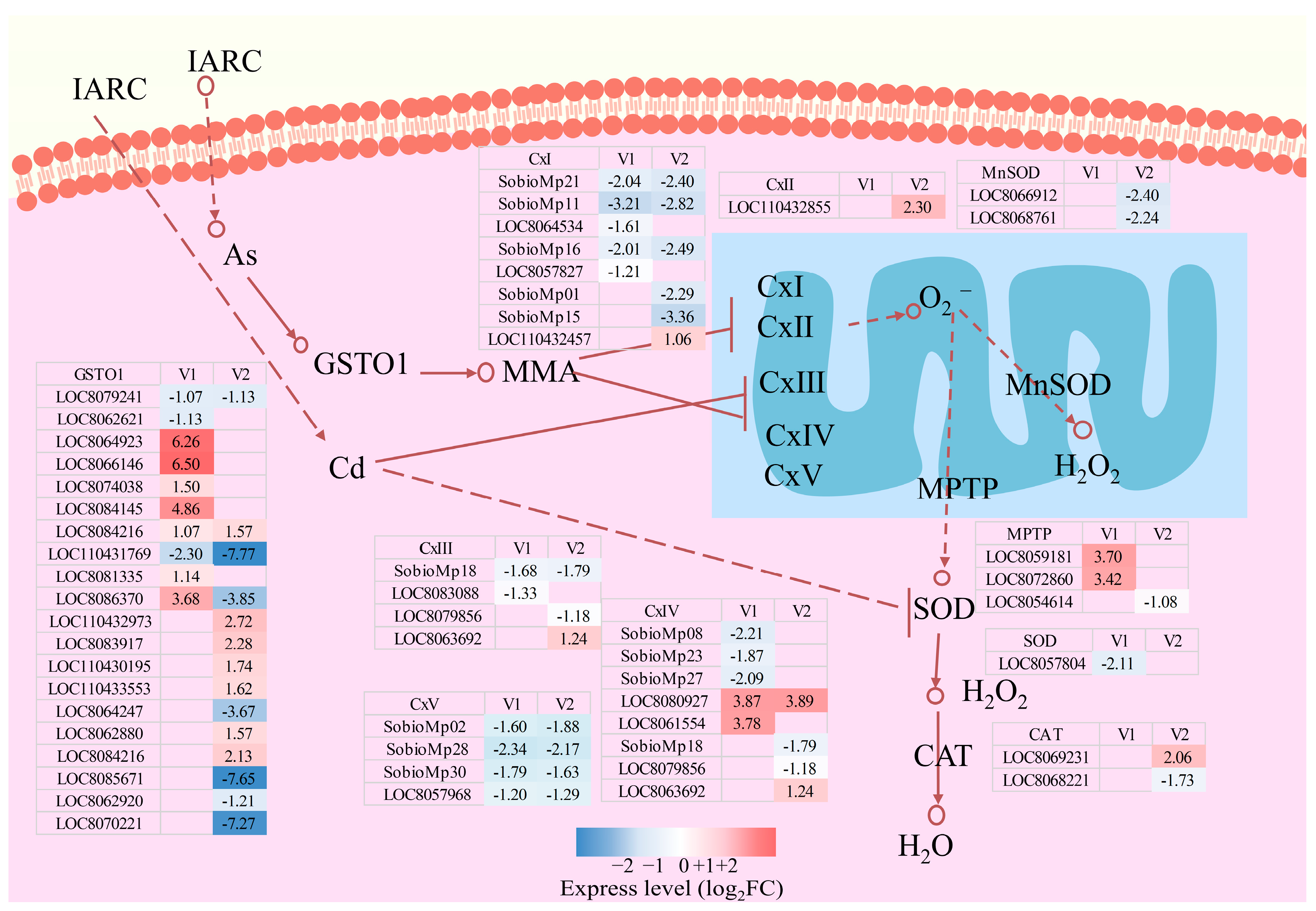 Agriculture 15 01780 g009 Agriculture 15 01780 g009