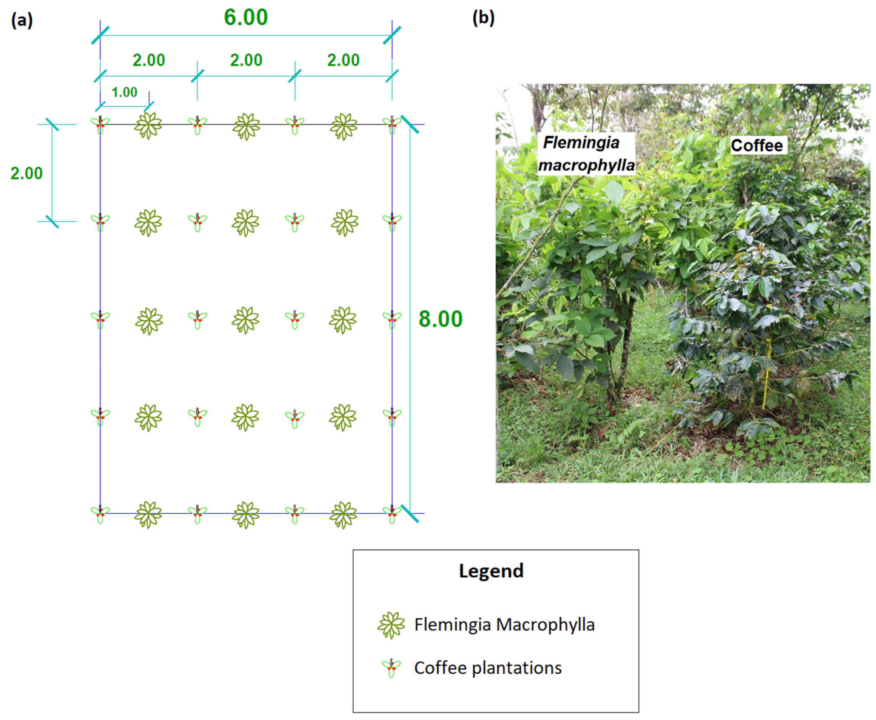 Agriculture 15 01781 g003 Agriculture 15 01781 g003