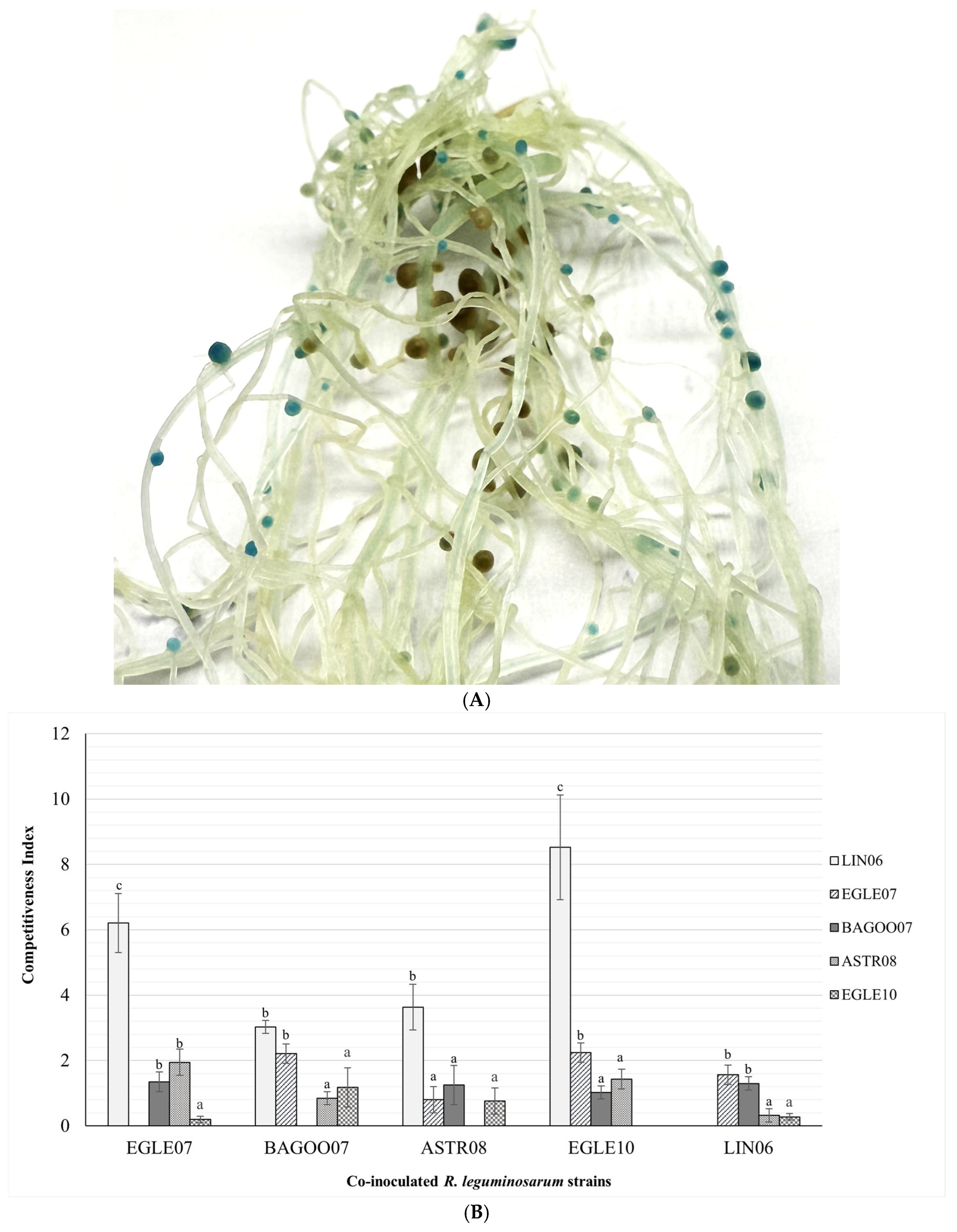 Agriculture 15 01784 g004a Agriculture 15 01784 g004a