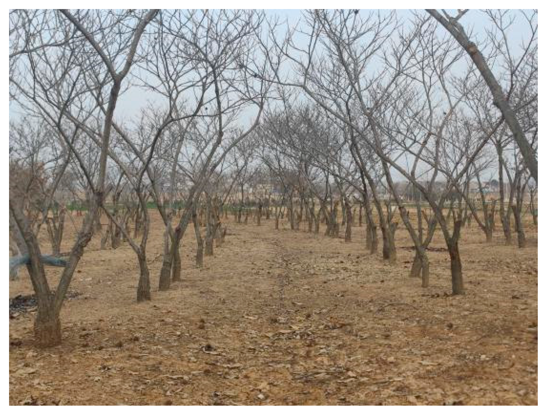 Agriculture 15 01786 g002 Agriculture 15 01786 g002