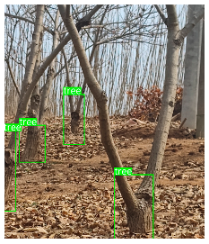 Agriculture 15 01786 i001 Agriculture 15 01786 i001