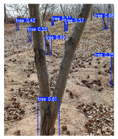 Agriculture 15 01786 i011 Agriculture 15 01786 i011