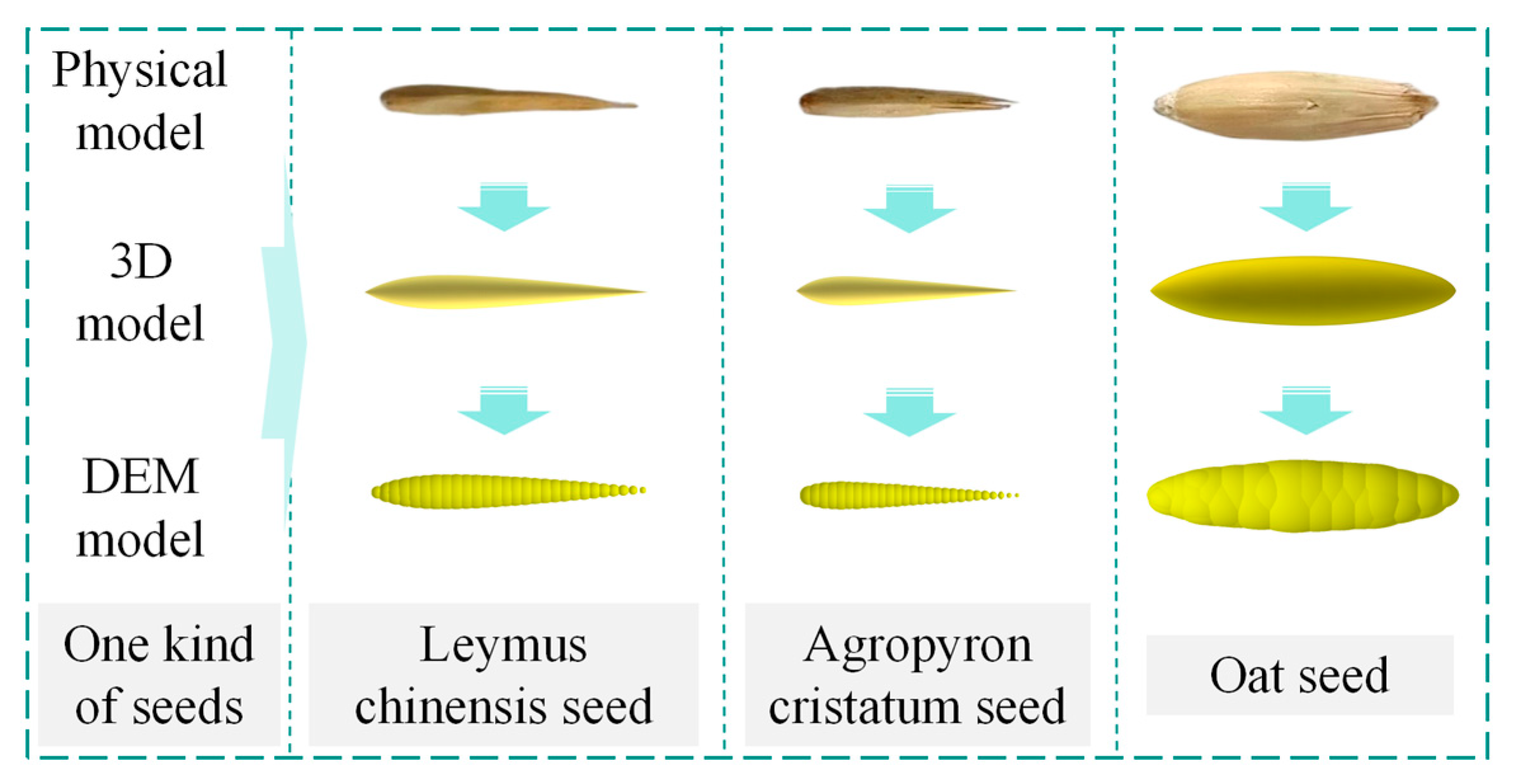 Agriculture 15 01788 g005 Agriculture 15 01788 g005