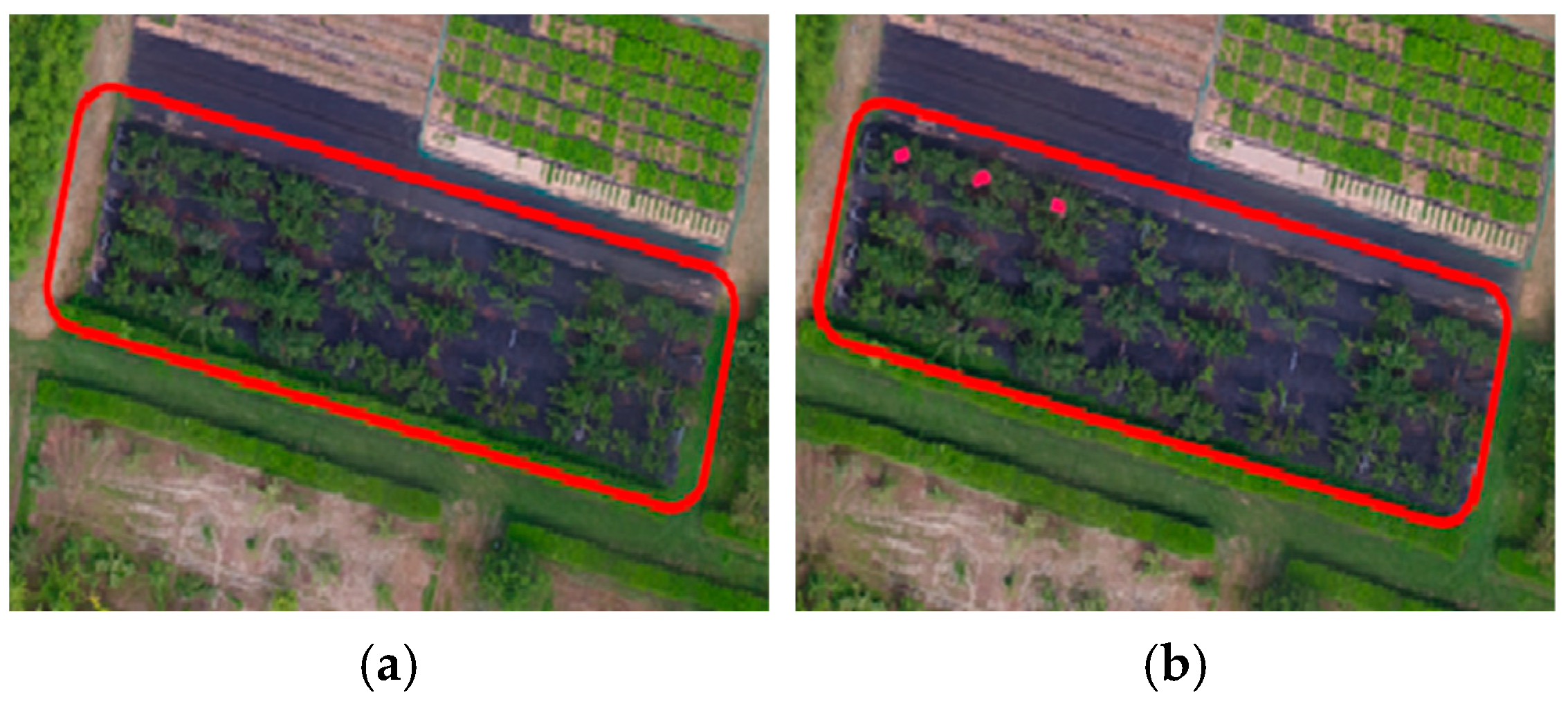 Agriculture 15 01794 g001