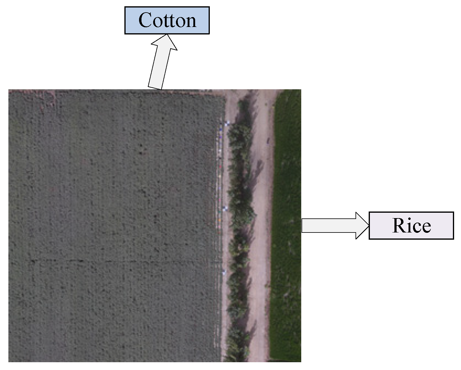 Agriculture 15 01814 g0a2