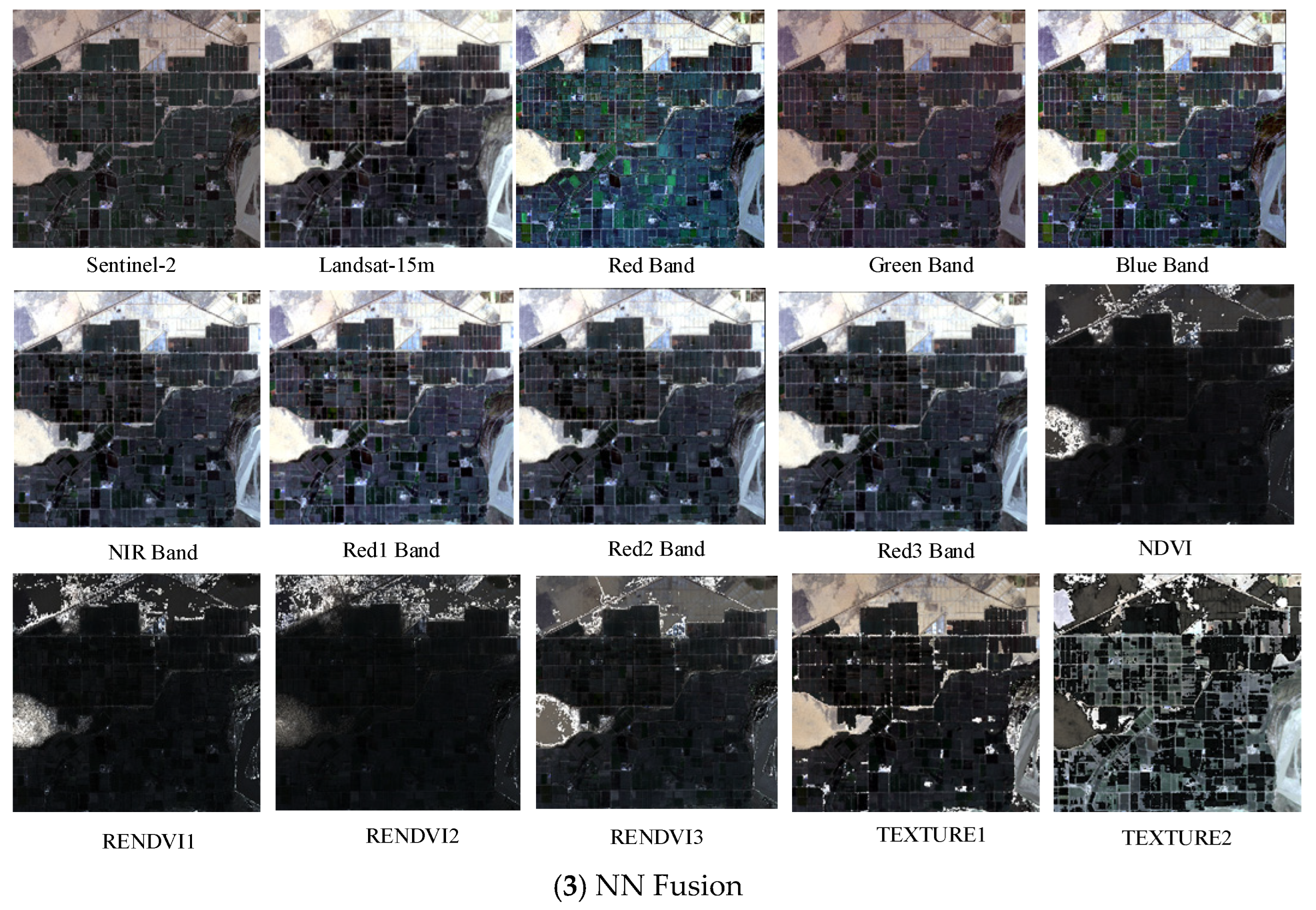 Agriculture 15 01814 g0a4b